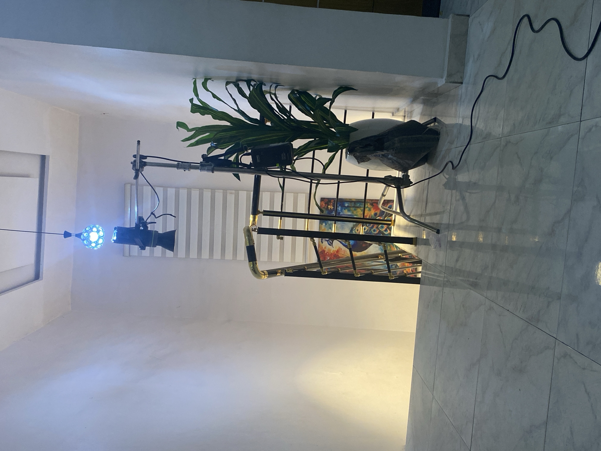 The image shows the interior of a room with tiled floors and white walls. A plant in a white pot sits on top of a clothing rack with gold accents. There is a painting beneath the rack. A lighting fixture, consisting of a disco ball and a black spotlight, hangs from the ceiling. Blinds cover a window in the background. A black power cord runs along the floor to the right. The location and city are not identifiable from the image.