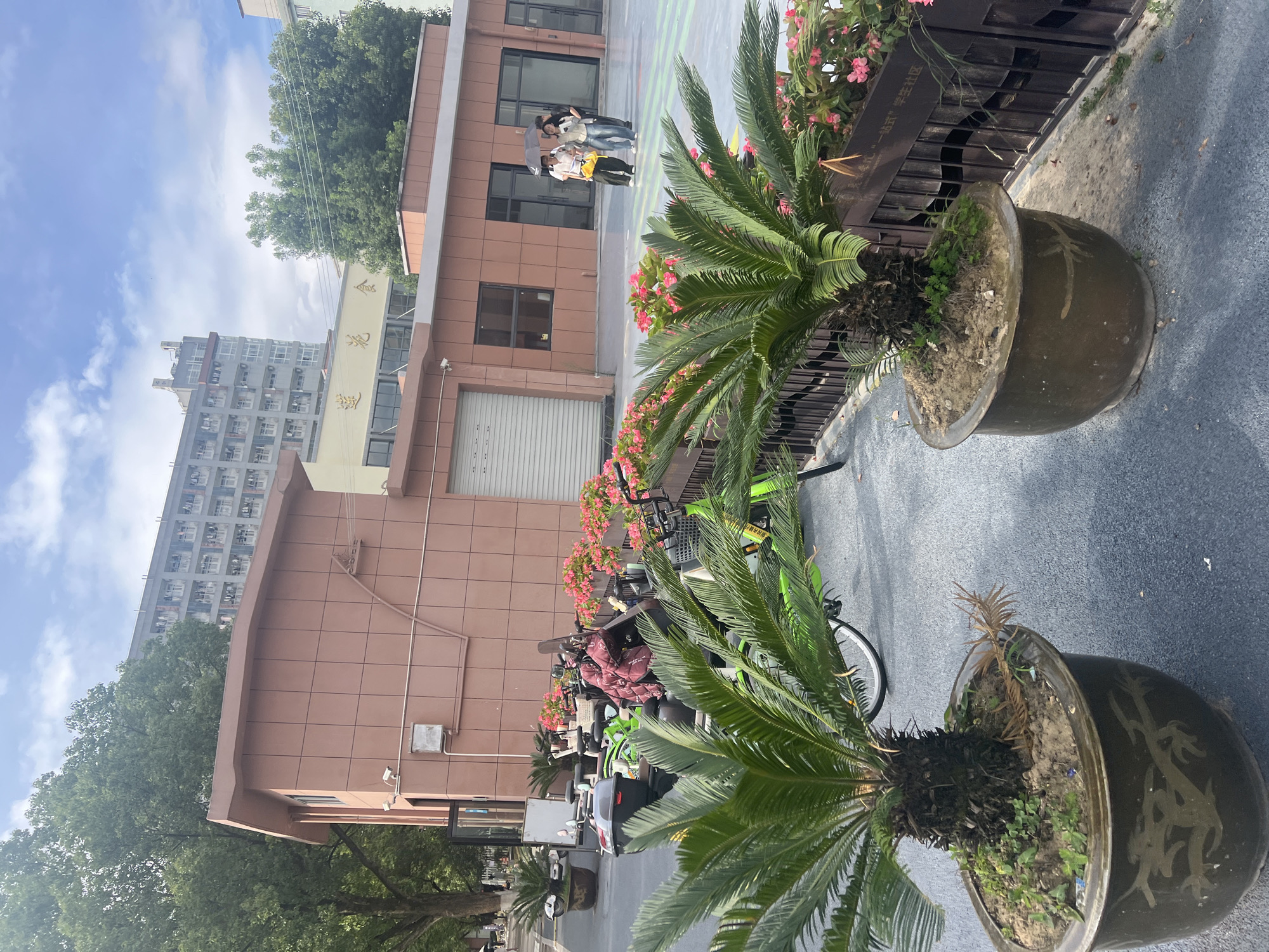 The image depicts an outdoor scene in Liandu District, China. In the foreground, two large potted cycad plants are prominently displayed, their fronds reaching upwards. Behind the plants, a brown building with a roller shutter door is visible. A group of people, possibly tourists, are gathered in front of the building, one holding an umbrella, suggesting it might be raining or the sun is very strong. Further in the background, a tall apartment building stands against a blue sky with scattered clouds. The scene is characterized by a mix of urban architecture and greenery.
A line of bicycles, some of which appear to be for rent, is parked along the building. Pink flowers are planted in beds along a dark wooden fence. Visible text on the fence reads "一品” 幸福社区”, which translates to "One-grade" Happy Community". The lighting suggests it is daytime. The overall mood is ordinary and functional, capturing a typical street view.