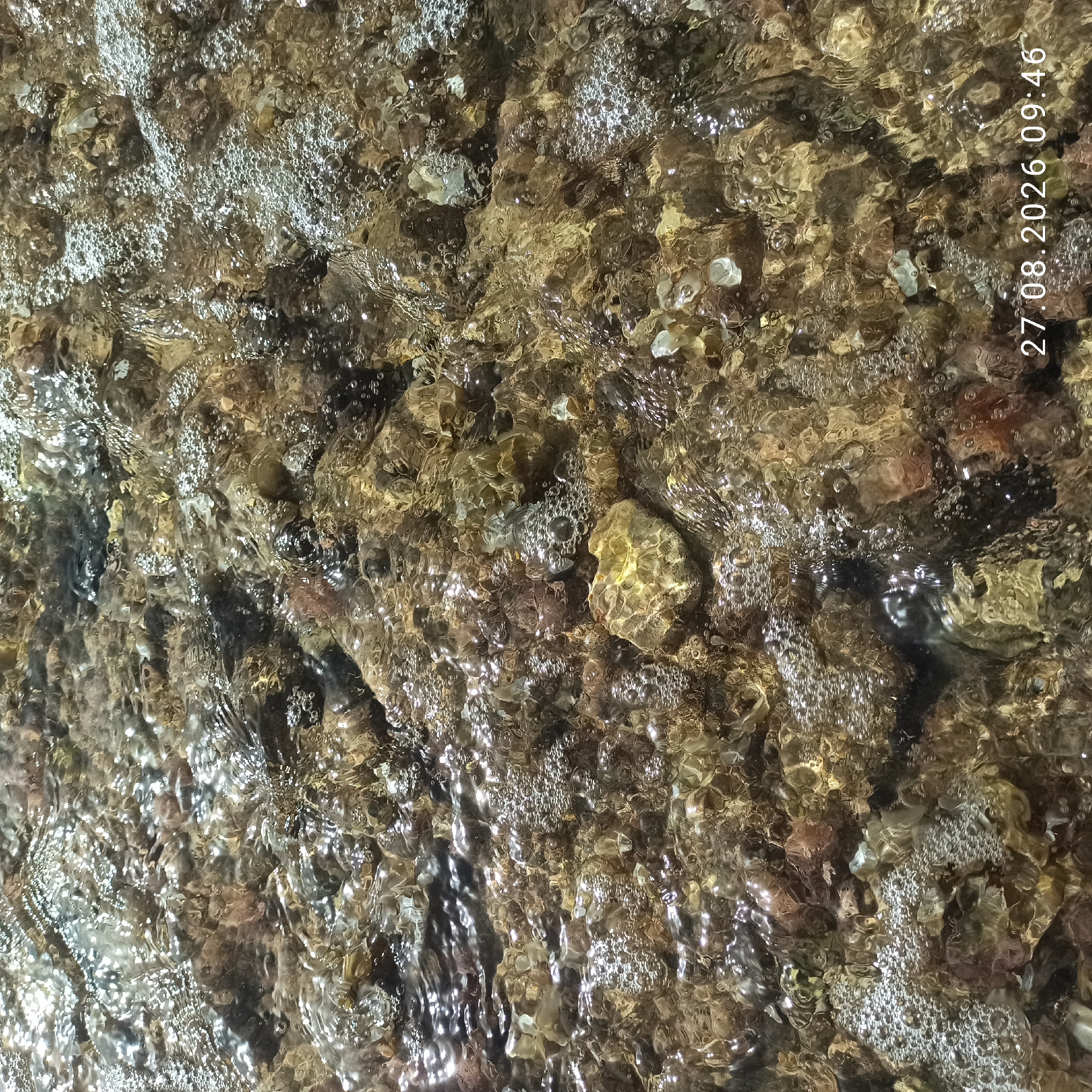 This image shows a close-up view of pebbles and rocks submerged in clear, shallow water, possibly a stream or riverbed. The water surface is disturbed, creating ripples and numerous small bubbles. Sunlight reflects off the water, creating bright highlights and illuminating the colors of the rocks beneath. The pebbles are varied in size and color, ranging from light brown and tan to darker shades of grey and reddish-brown. Some larger rocks are visible, with textured surfaces. The scene is natural and appears to be outdoors. The timestamp "27.08.2026 09:46" is superimposed on the bottom right corner, suggesting the image was taken on August 27, 2026, at 9:46 AM. Without additional information or context, the specific location within Molfetta, Italy, cannot be determined.