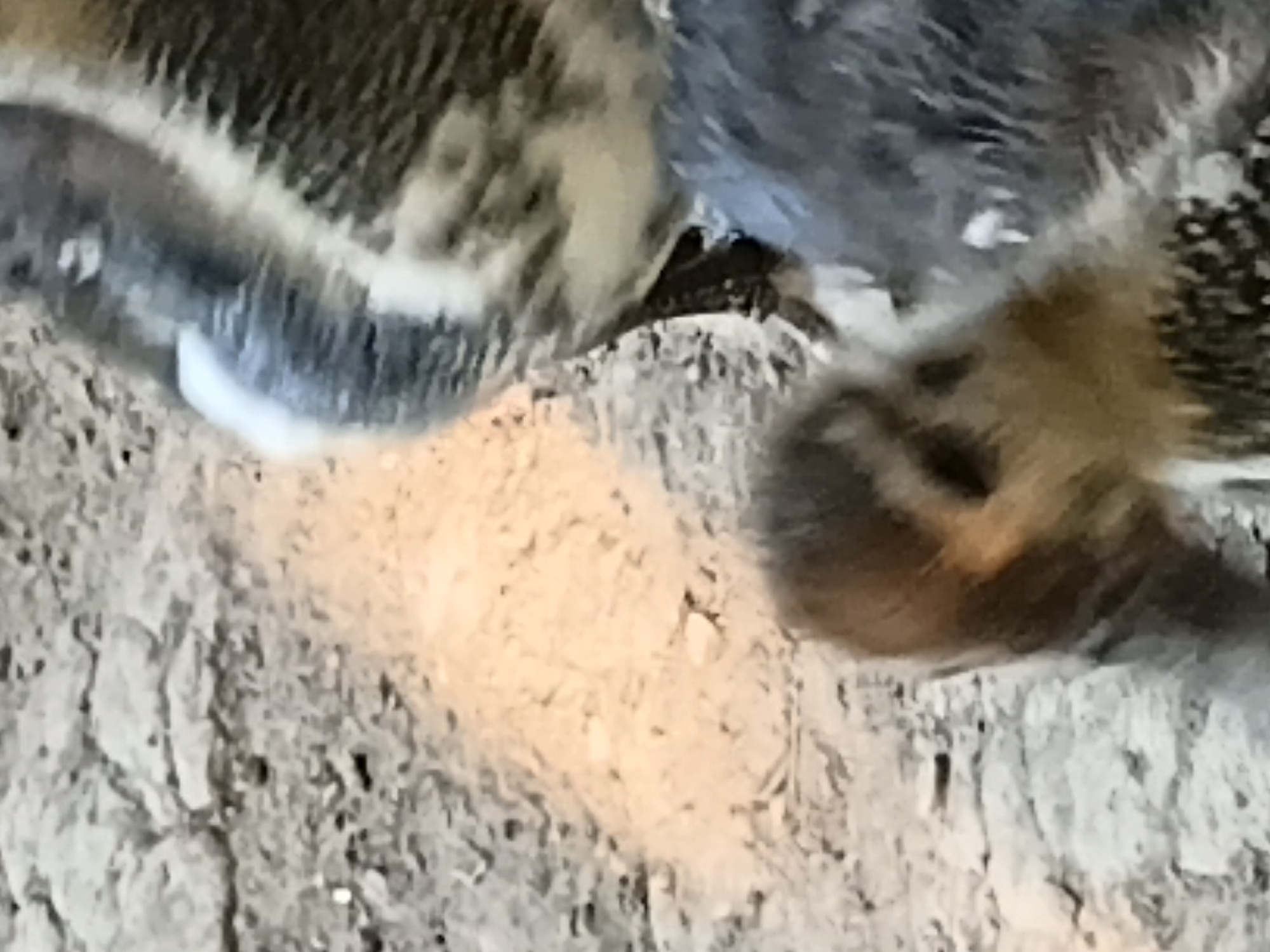 The image is a close-up shot of at least two baby birds, likely ducklings, on a dirt or gravelly surface. The foreground shows the heads and upper bodies of the birds. One bird in the lower left has brown and black downy feathers and is facing towards the right. To its right and slightly behind, another bird's body is visible, predominantly covered in grey and white striped feathers, with its head obscured. The background is out of focus, showing a textured, light-colored ground with some darker patches. There is a warm, orange light cast across the ground in the middle left of the image, possibly from sunlight filtering through. The image does not provide any information about the city of Margo Rukun, Indonesia.