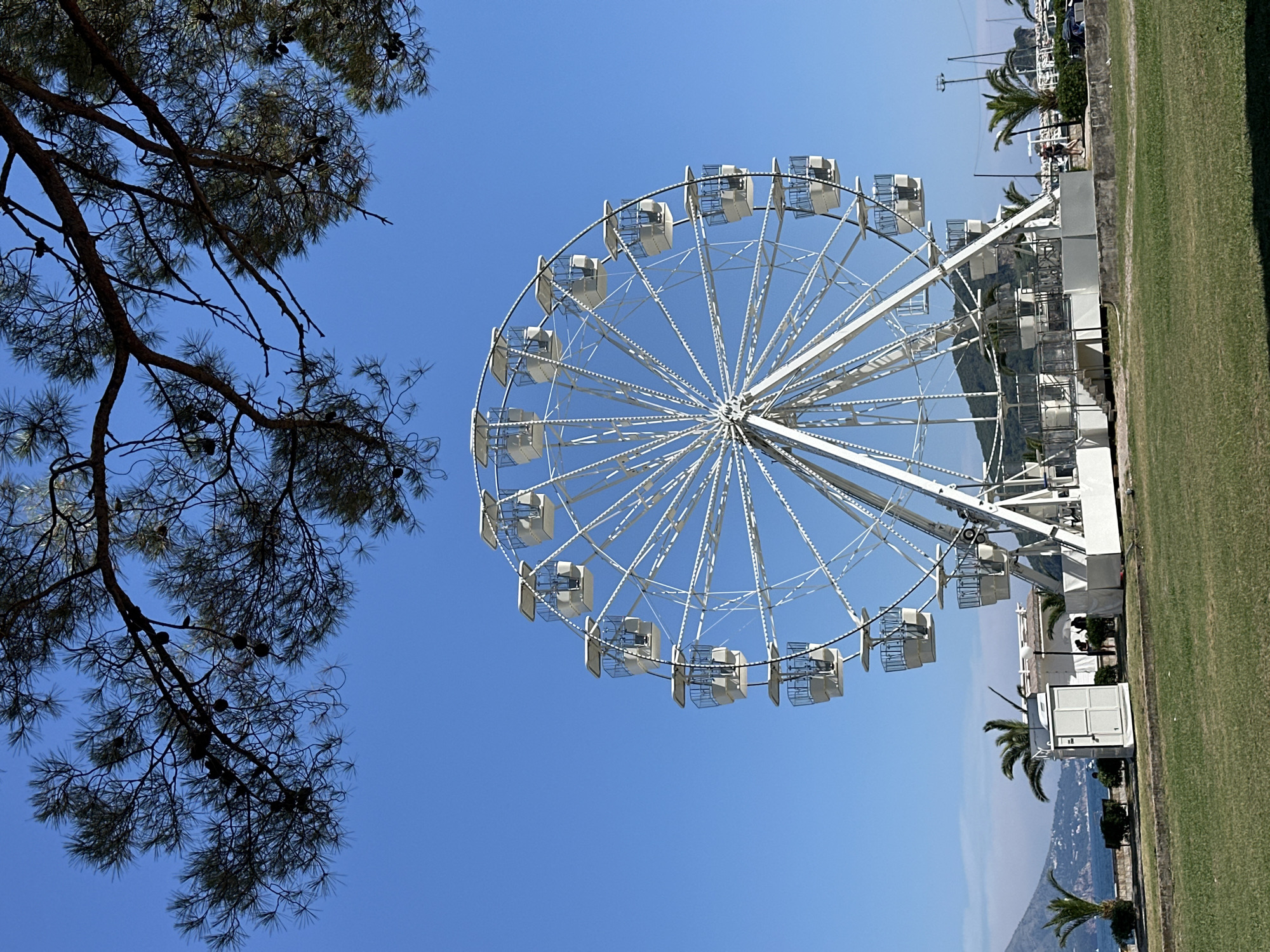 A white Ferris wheel stands prominently in the center of the frame against a clear blue sky. It is a sunny day, with the Ferris wheel's structure and gondolas casting shadows on the ground. The Ferris wheel is situated in a park-like area with green grass in the foreground. In the background, there is a body of water, possibly the Adriatic Sea, with hills and mountains in the distance. Palm trees are scattered around the area, suggesting a warm climate. The scene appears to be a recreational area in a coastal city, likely Budva, Montenegro, given the distinctive mountainous coastline. There are a few people visible in the background walking on a path near the Ferris wheel and some small structures, potentially ticket booths or amenities. Overhead, the branches of a large pine tree with visible cones extend into the top portion of the image, framing the sky and the Ferris wheel.