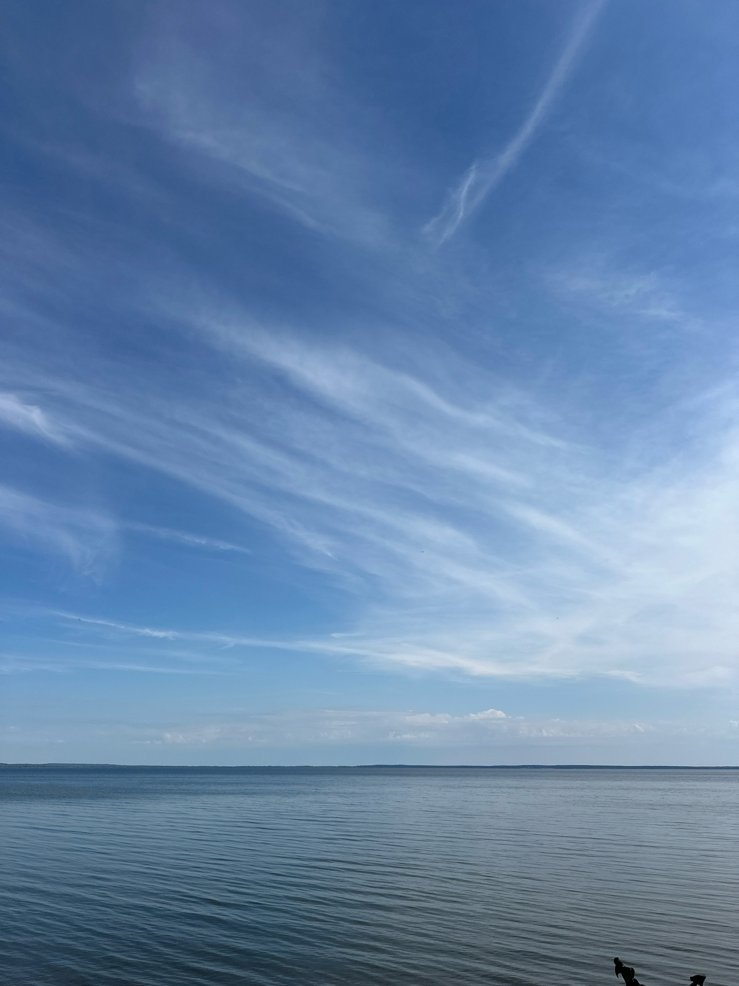 This is a wide shot of a calm body of water under a bright blue sky with wispy white clouds. The horizon line is clear, showing a distant landmass. The water is a deep blue with subtle ripples. In the bottom right corner, two dark, silhouetted objects are partially visible, possibly a pair of birds perched on something not fully in frame. The location is Нарацкі сельскі Савет, Belarus.