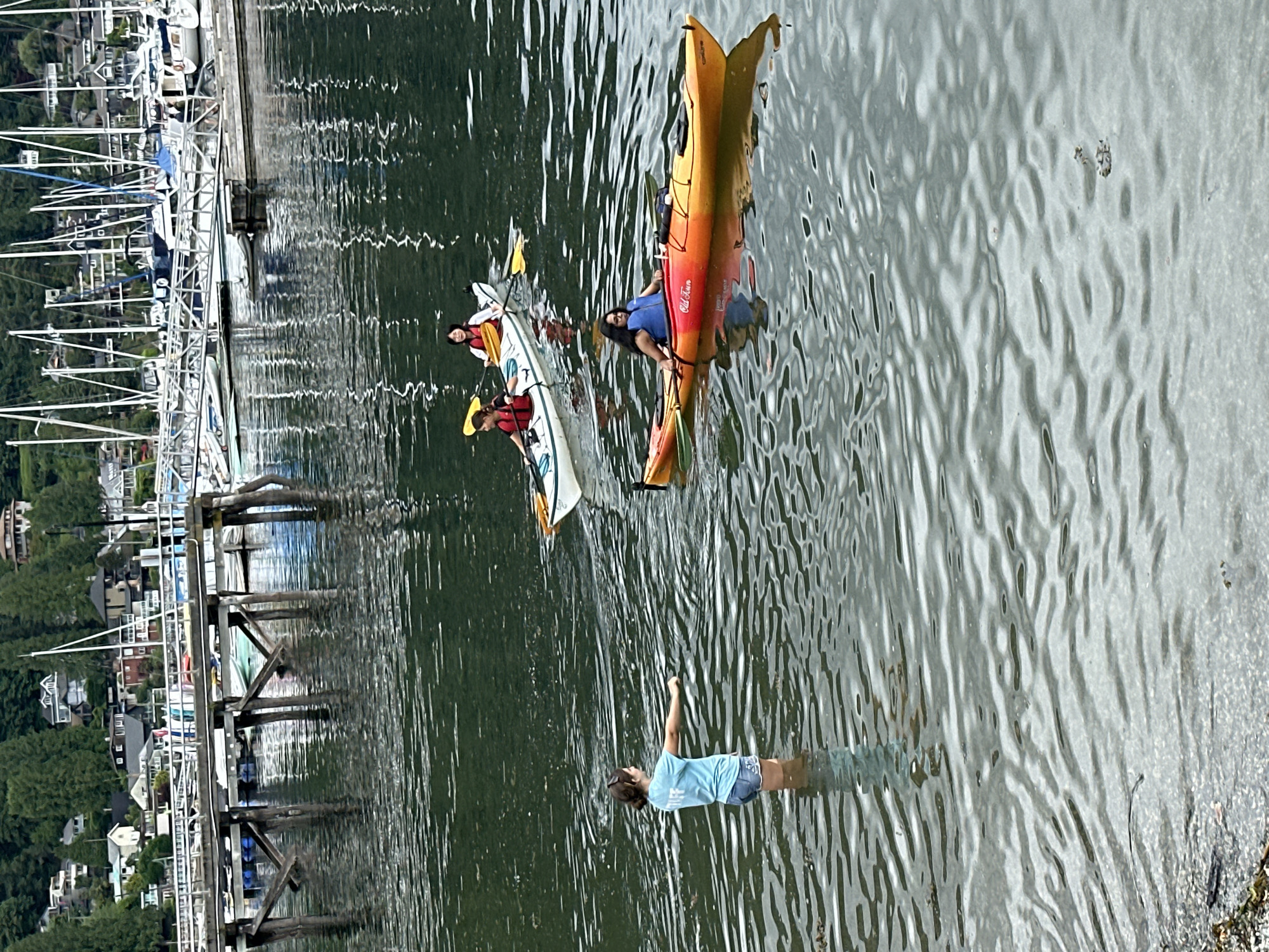 In the waters of North Vancouver, Canada, several individuals are engaged in kayaking activities near a marina and a wooded shoreline. In the foreground, a person wearing a light blue t-shirt with "STAFF" visible in white text and denim shorts stands in the shallow water, facing away from the camera and extending their right arm. Further out in the water, two kayaks are visible. One kayak, orange and yellow, carries a person wearing a blue life vest. Another kayak, white and red, is occupied by two individuals, both wearing life vests; one is in the front, and another is in the rear. In the background, a marina with numerous sailboats and a wooden pier are present, with houses and dense trees lining the hillside behind the marina. The water surface is rippled.