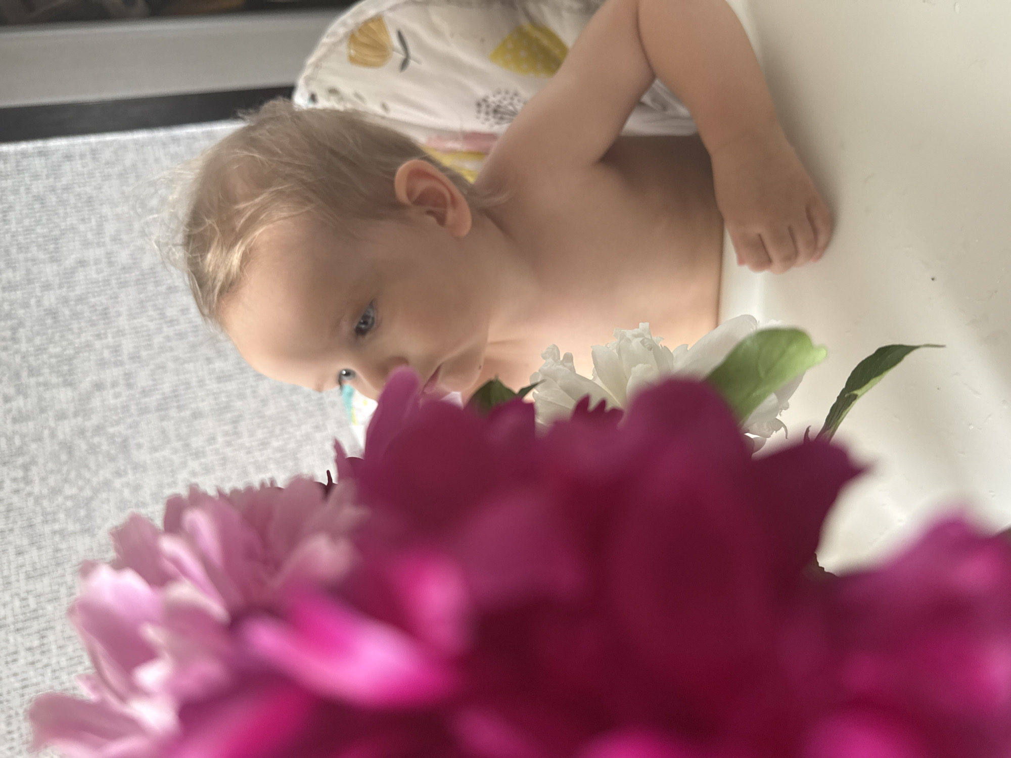 In Moscow, Russia, a toddler with blonde hair and blue eyes sits in a high chair, facing to the right of the frame. They are looking at a cluster of bright pink and white peonies that are in the foreground, obscuring part of their face and upper body. The toddler is shirtless. The high chair has a fabric liner with a floral pattern. The background is a light-colored textured surface, possibly a wall or window covering, with a vertical dark element on the right side, suggesting a window frame or door.