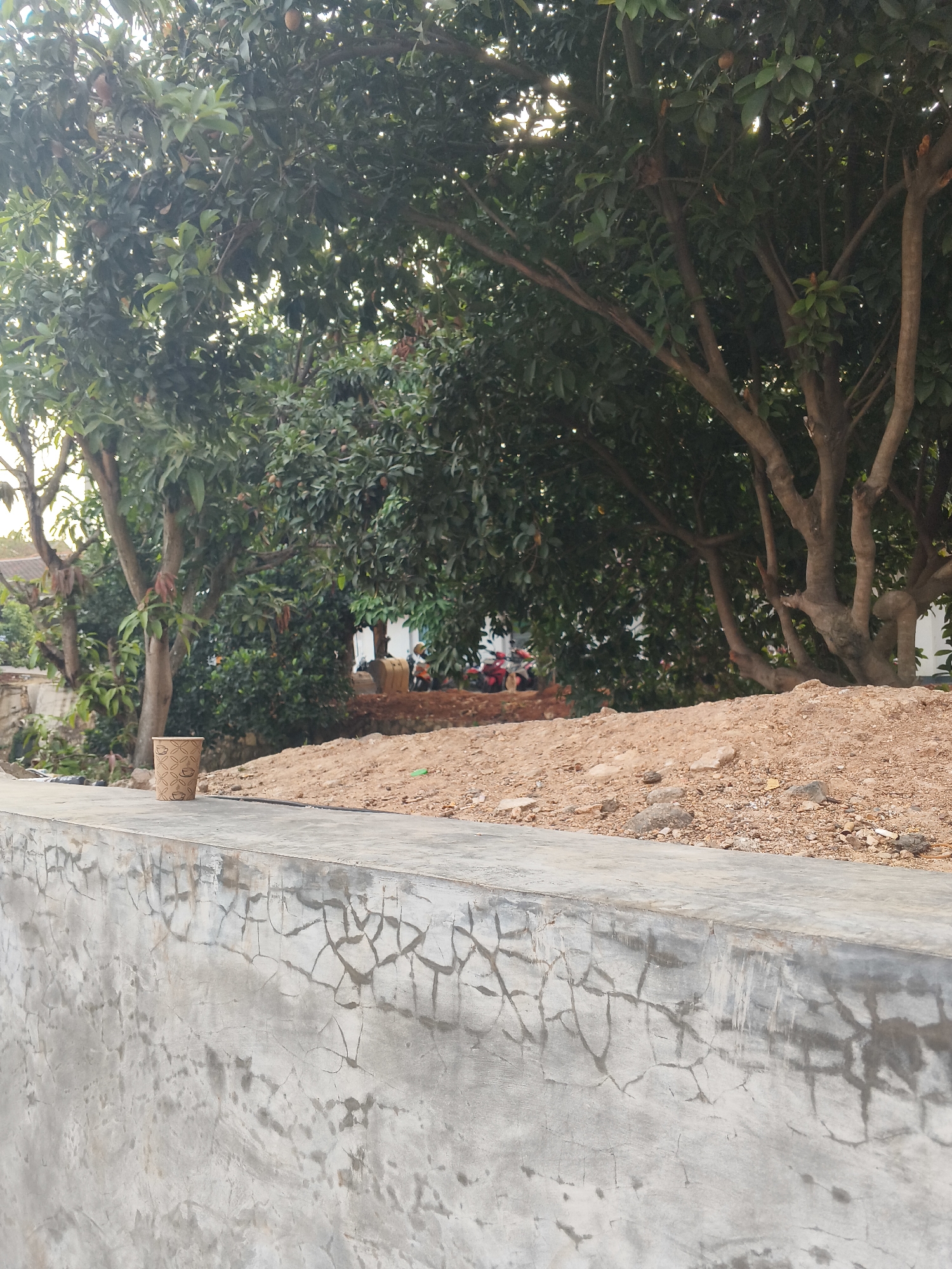 The image depicts an outdoor scene with lush green trees dominating the background. In the foreground, a concrete wall with a cracked texture runs horizontally, with a lighter colored section at the top. On this top surface, a single paper cup with a patterned design is placed. Behind the wall, a pile of brown soil and rocks is visible. Further back, several motorcycles and a person are present, suggesting a human presence in the vicinity. The overall environment appears to be a developing or unkempt area, possibly within a residential or construction zone. The presence of trees suggests a possibly tropical or subtropical climate. The scene could be located in Bandar Lampung, Indonesia, given the common landscape features.