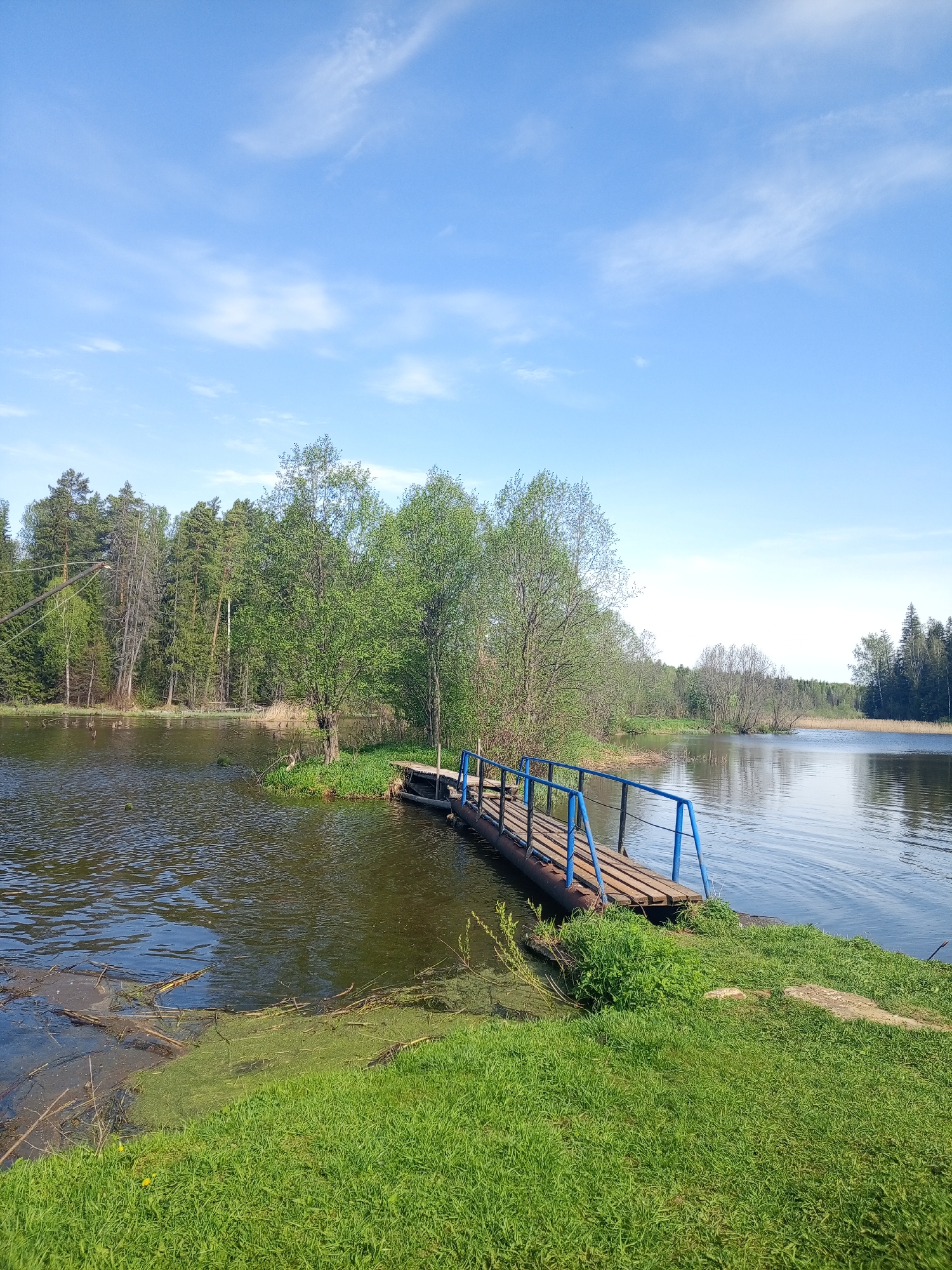 The image depicts a tranquil scene at a lake or pond, likely in a rural area. A small wooden bridge with blue railings extends from the grassy bank into the water. The bank is covered with green grass and some aquatic vegetation. The water is calm with slight ripples. In the background, there is a dense forest with a variety of deciduous and coniferous trees. The sky is blue with scattered white clouds. The location is the city of Ural'skoe, Russia. There are no people visible in the image.