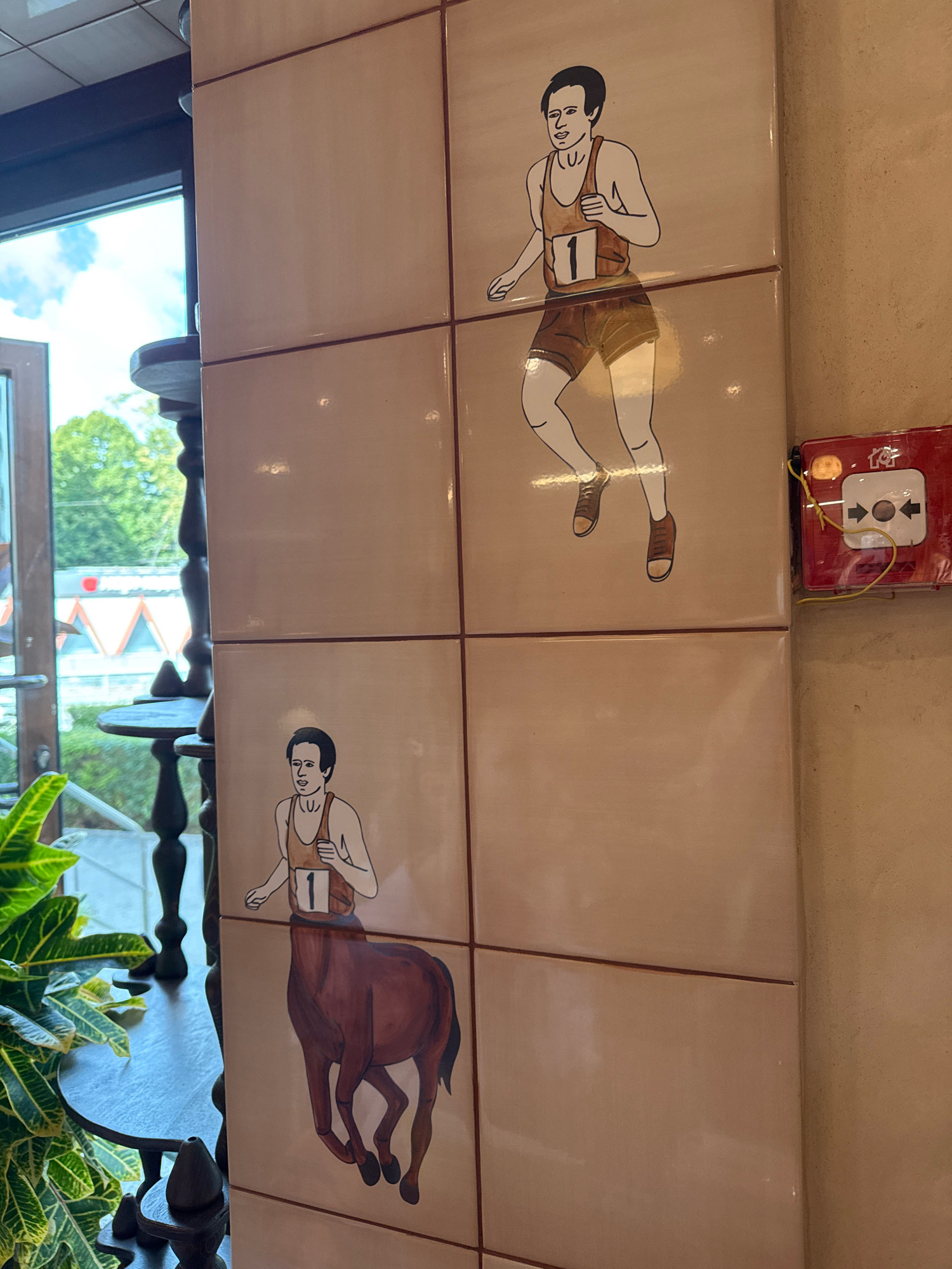 The image depicts a wall adorned with large, square tiles. Two of the tiles feature hand-drawn illustrations of runners. The top tile shows a male runner with black hair, wearing a brown tank top with the number "1" on it, and brown shorts. He is depicted in mid-stride. Below this, the second tile shows a mythological creature, a centaur, with the upper body of the same male runner and the lower body of a brown horse. This centaur is also depicted in mid-stride. To the right of the tiles, a red fire alarm box with a white button and arrows is mounted on the wall. The scene is lit, and a plant with large green leaves is visible in the lower-left corner, along with parts of a wooden table and a window showing greenery and a cloudy sky. The tiles are a light, neutral color and have thin, dark grout lines separating them. The overall style is illustrative and somewhat whimsical, suggesting a decorative element in a building. The specific location in Kaliningrad, Russia cannot be determined from the image alone.