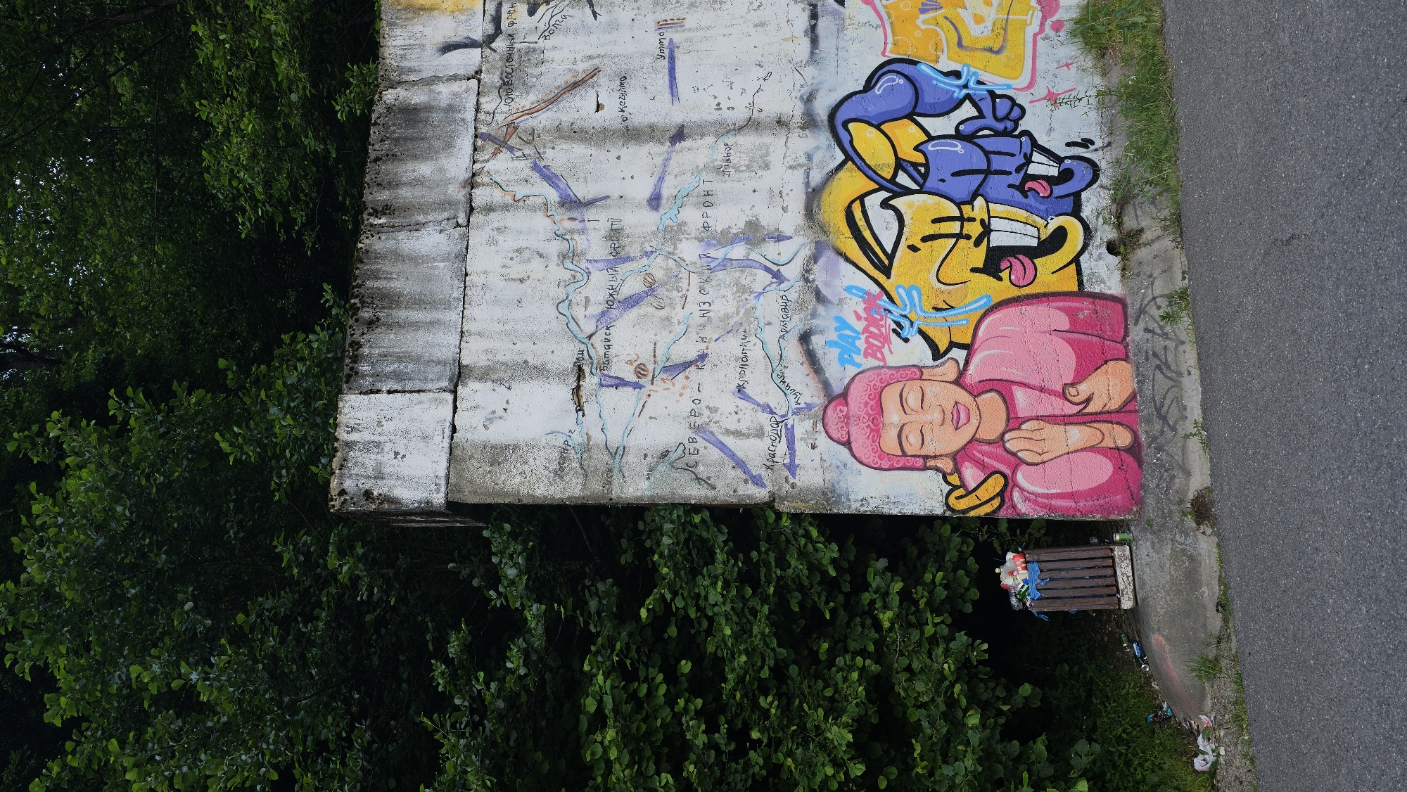 A concrete wall covered in graffiti stands next to a dense green forest. The graffiti depicts a stylized pink Buddha-like figure in the lower left, with a map of military fronts drawn in blue and purple on the wall above it. To the right of the Buddha, there are cartoonish yellow and blue characters with exaggerated features, also rendered in graffiti. A trash can filled with various items is visible to the left of the wall, near the edge of the forest. The area in front of the wall is paved with asphalt, suggesting it is a roadside location. The overall scene captures an urban artistic intervention within a natural setting, possibly in or near Krasnaya Polyana, Russia, given the presence of graffiti referencing military fronts and geographical locations that may be relevant to that region.