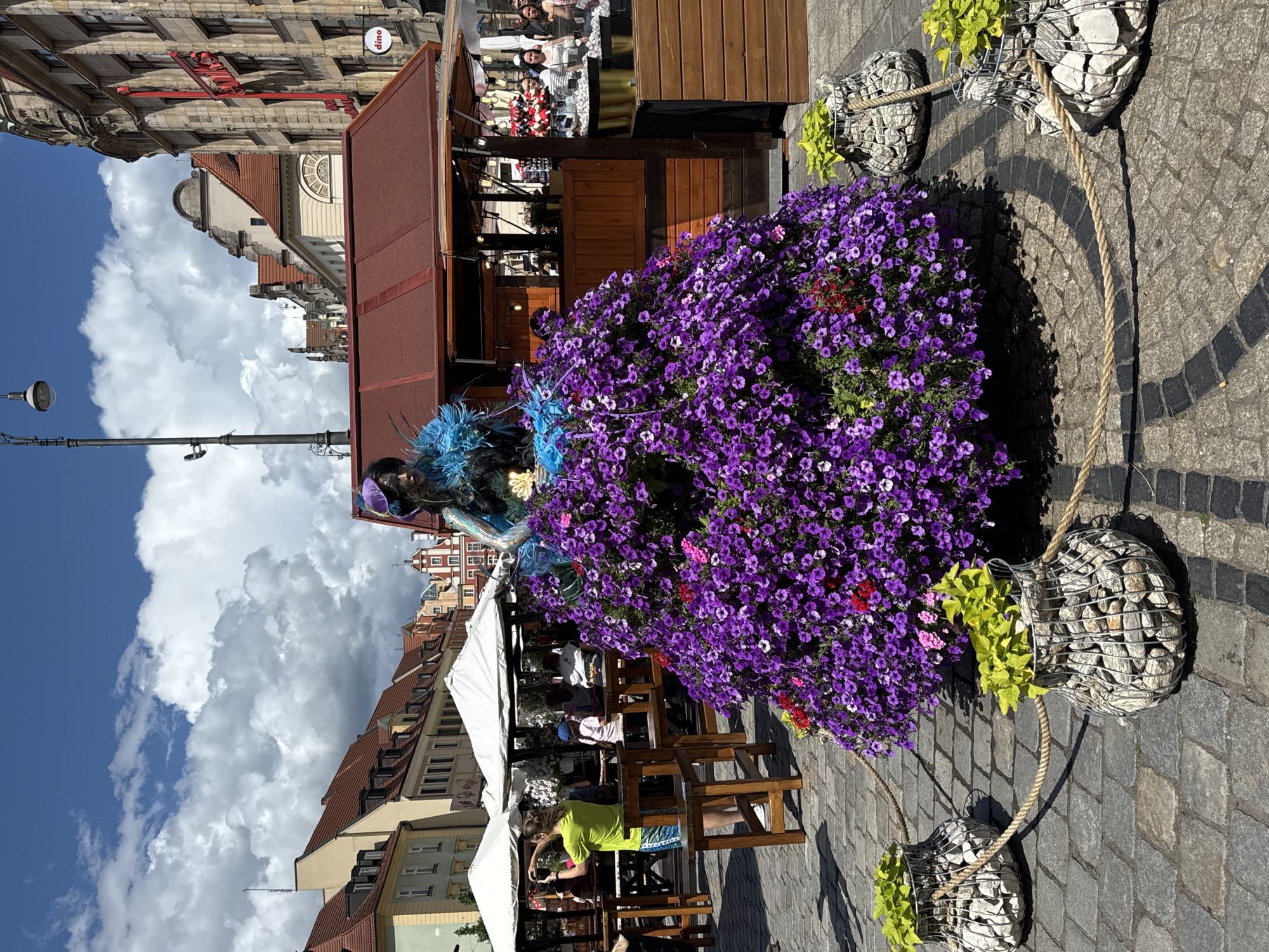 This detailed image captures a vibrant street scene, confirmed to be in the city of Wrocław, Poland, likely within or near the Old Town Market Square (Rynek), as indicated by the architectural styles and subtle signage. The central and most prominent subject is a large, public floral sculpture known as a "Flower Lady." The lower body of the sculpture is formed by a voluminous "skirt" composed entirely of dense, thriving purple petunia flowers, with scattered red and pink blossoms providing accents. The upper body is a humanoid figure, painted with dark skin tones, wearing a purple hat adorned with teal and purple feathers, and a matching feathered top. This figure is positioned beneath a tall, dark gray, ornate street lamp. In the immediate foreground, the ground is paved with irregularly shaped cobblestones. A rope barrier, made of thick natural fiber, encloses the flower sculpture. This rope is anchored to several cylindrical, gabion-style planters filled with light-colored stones and topped with bright green foliage. To the left of the flower sculpture, an outdoor café or restaurant seating area is visible, featuring multiple white market umbrellas providing shade over numerous light-brown wooden tables and chairs. Several individuals are seated or standing in this area. A person with light-brown hair, wearing a bright lime-green t-shirt and patterned shorts, is actively taking a photograph of the flower sculpture with a camera held to their eye. To the right of the flower sculpture, a rustic wooden kiosk or market stall with a sloped maroon roof is present. The stall features wooden panels and open sections, revealing interior activity. Several people are visible behind and to the right of this stall, with some appearing to interact with it. Golden containers are visible on the stall's counter, possibly holding food or beverages. Above and behind the stall, a small circular white sign with the word "dino" in black lettering is visible on a stone building. The background consists of a continuous line of multi-story historic buildings exhibiting varied architectural styles, predominantly featuring red-tiled roofs. Some buildings display lighter facades, while others are constructed from stone with ornate details. A particularly grand, older stone building with intricate relief work is visible on the far right, displaying a prominent red sign that reads "PKO" vertically, indicating a branch of PKO Bank Polski, which commonly has locations in prominent city squares like Wrocław's Rynek. The sky is a clear, bright