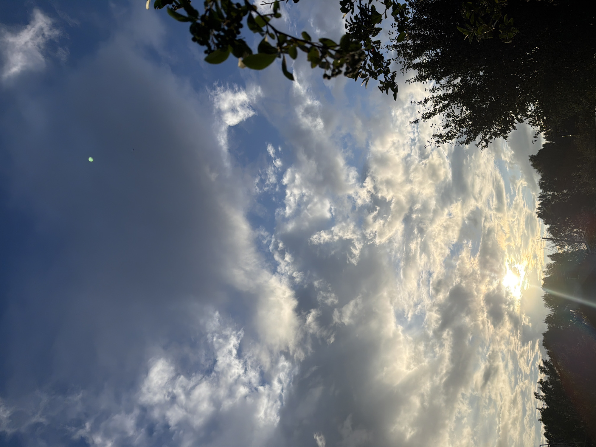 The image captures a view of the sky and the tops of trees in Yekaterinburg, Russia. The sky is filled with a mixture of dark and light clouds, with the sun breaking through in the lower left portion of the frame, creating a sunbeam effect. The sun appears to be low in the sky, suggesting it is either sunrise or sunset. A few dark trees with some foliage are visible along the bottom edge of the image, silhouetted against the brighter sky. In the upper portion of the sky, a small, luminous green circle is visible.