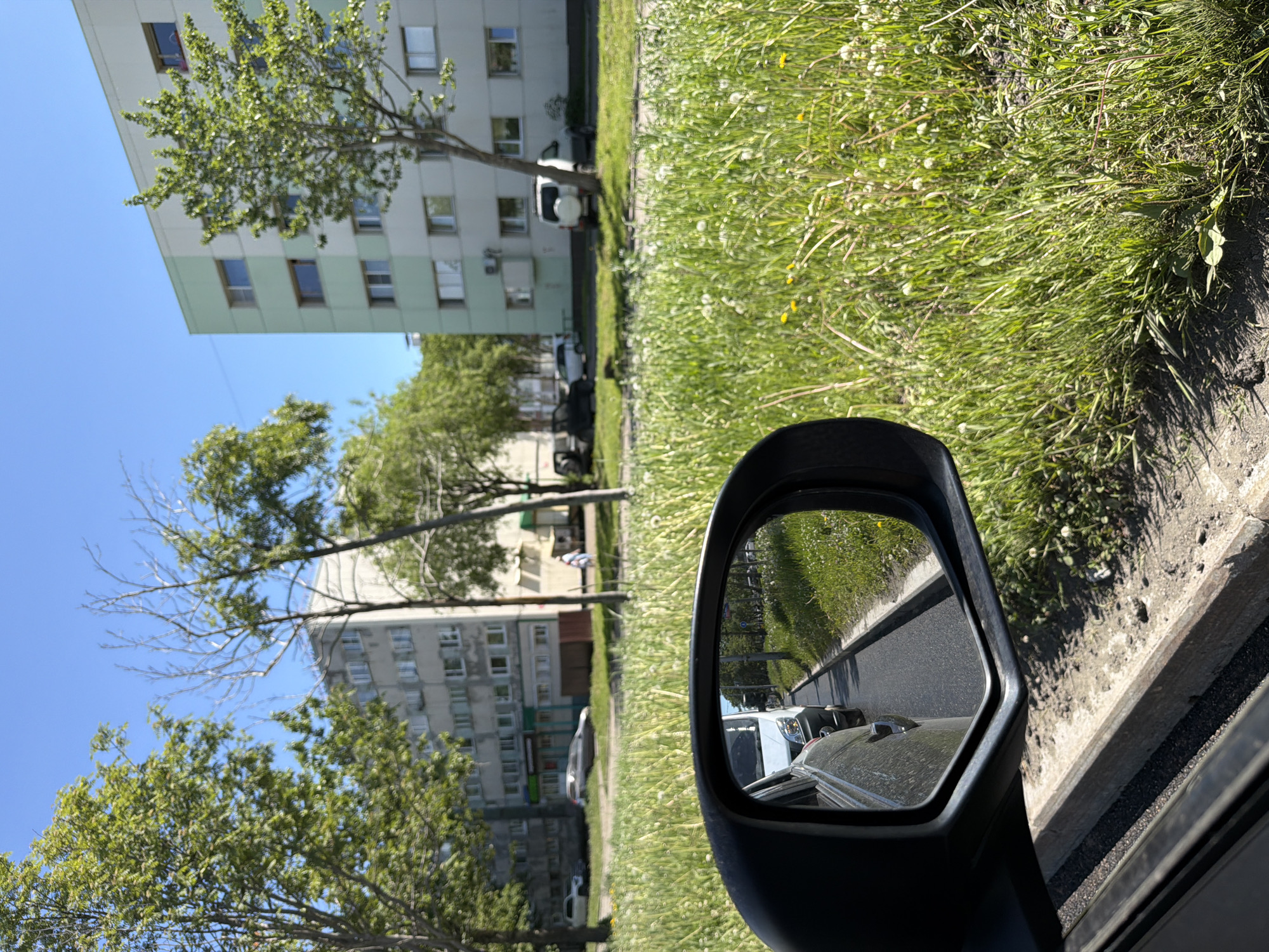 The image captures a street scene in Petropavlovsk-Kamchatsky, Russia, on a clear, sunny day. The viewpoint is from inside a vehicle, looking out through the side window and reflecting in the side mirror.
In the foreground, the side mirror of a dark-colored car is prominently displayed, reflecting a line of cars on a paved road. The cars in the reflection appear to be stopped or moving slowly, with a white van or truck being the closest vehicle visible. A strip of asphalt road is visible in the reflection, bordered by a grassy verge.
Beyond the car and the road, lush green grass with scattered white and yellow wildflowers covers a wide area. This grassy expanse is typical of urban green spaces in Petropavlovsk-Kamchatsky.
In the background, several apartment buildings are visible. One building on the left appears to be older, with a uniform gray facade and numerous windows. To the right, another apartment building features a lighter facade, with sections painted in light green and white. These buildings are characteristic of Soviet-era architecture common in Russian cities. Trees with green foliage are scattered throughout the scene, providing shade and breaking up the urban landscape. A bare, leafless tree stands between two buildings, suggesting it may be dormant or damaged.
Further in the background, near the apartment buildings, several parked cars and what appear to be utility structures are present. A person is visible in the distance, walking along a sidewalk or path. The sky is a bright, cloudless blue. The overall impression is of a typical residential area in Petropavlovsk-Kamchatsky during the warmer months, bathed in bright sunlight.