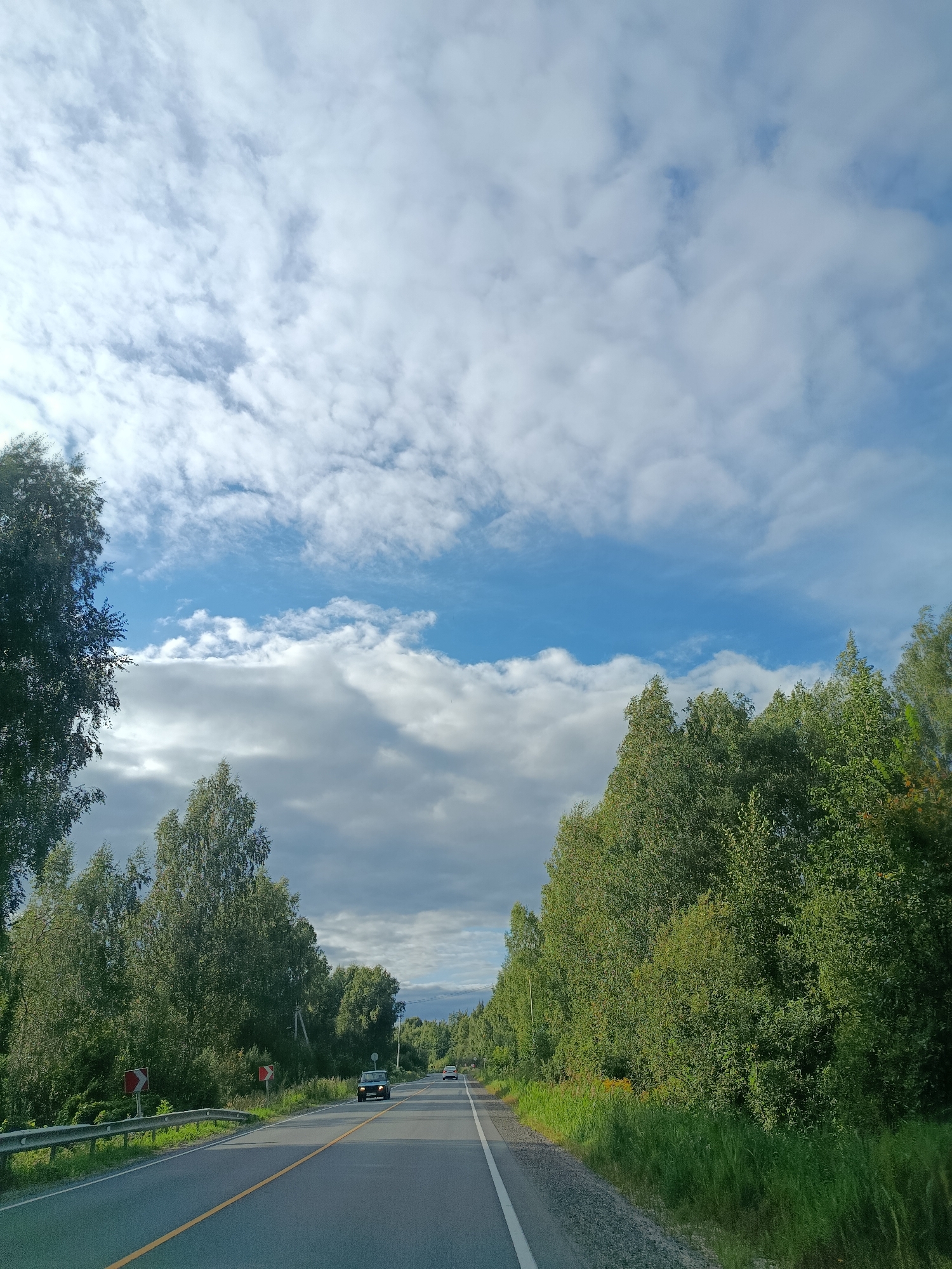 This image depicts a scenic drive on a paved road flanked by dense green trees. The road has a yellow dividing line and a white lane marker. Two cars are visible on the road, one in the foreground and another further ahead. On the left side of the road, there are red and white traffic signs indicating a curve. The sky is a mix of blue and white clouds, suggesting it is daytime. The overall environment appears to be a rural or natural landscape, possibly in the region of 1-Go Maya, Russia, given the description.