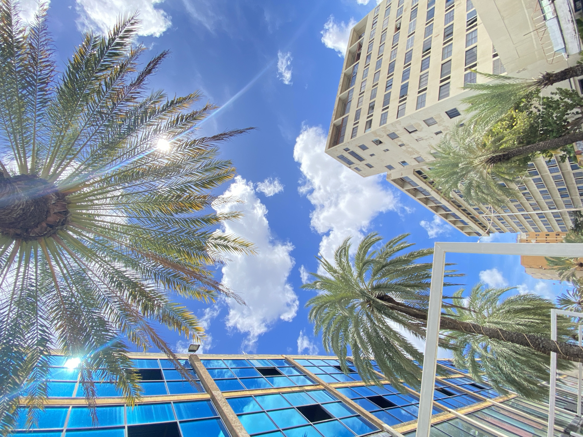 The image presents a low-angle view looking up at a partially cloudy blue sky, juxtaposed with elements of urban architecture and nature. At the bottom left, a palm tree's fronds extend across the frame, filtering sunlight. Below, the glass façade of a building is visible, with windows reflecting the sky. Adjacent to the top right, a tall building is captured, and nearby another palm tree. In the right lower area, some white structures can be seen. The image does not contain any people or actions. The location is not verifiable in the image.