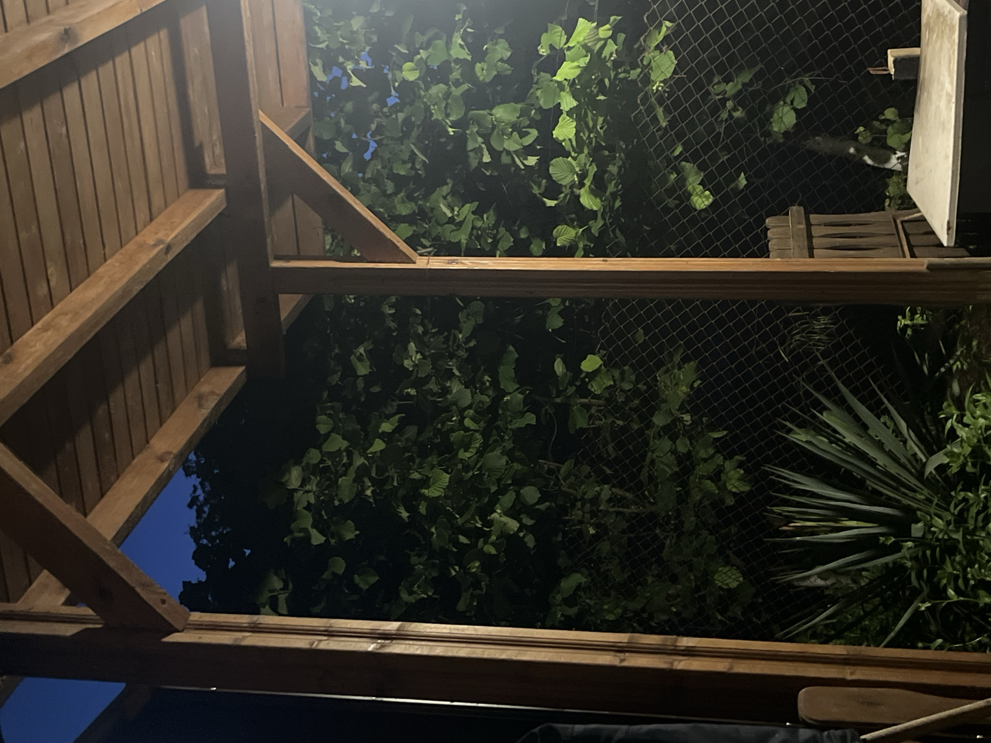 The image depicts an upward view from underneath a wooden structure, likely a gazebo or covered porch, in Varshilo, Bulgaria. The wooden beams of the structure are visible in the foreground. Beyond the structure, the view is filled with dense foliage, including leafy trees and a yucca plant. A chain-link fence is partially visible behind the greenery. The sky is dark, suggesting it is either night or dusk. A partially visible object, possibly a white outdoor appliance, is situated near the fence.