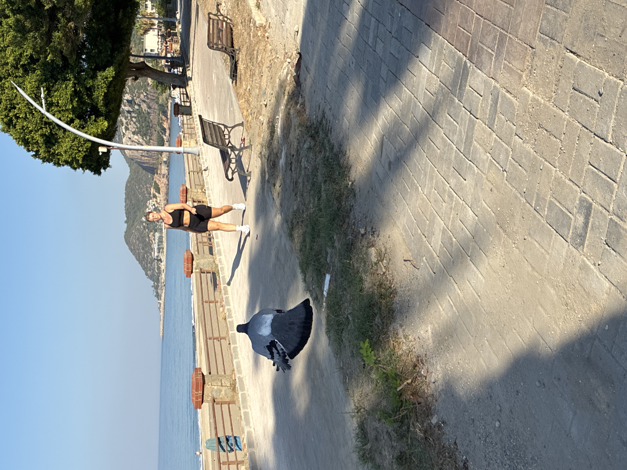 A woman in athletic wear is walking on a paved walkway next to a beach in Alanya, Turkey. The ocean is visible on the left, with a coastline and hills in the distance. A pigeon is on the walkway in the foreground, facing away from the camera. Two benches are on the right side of the walkway. A large tree shades a portion of the walkway. The sun is shining, casting shadows.