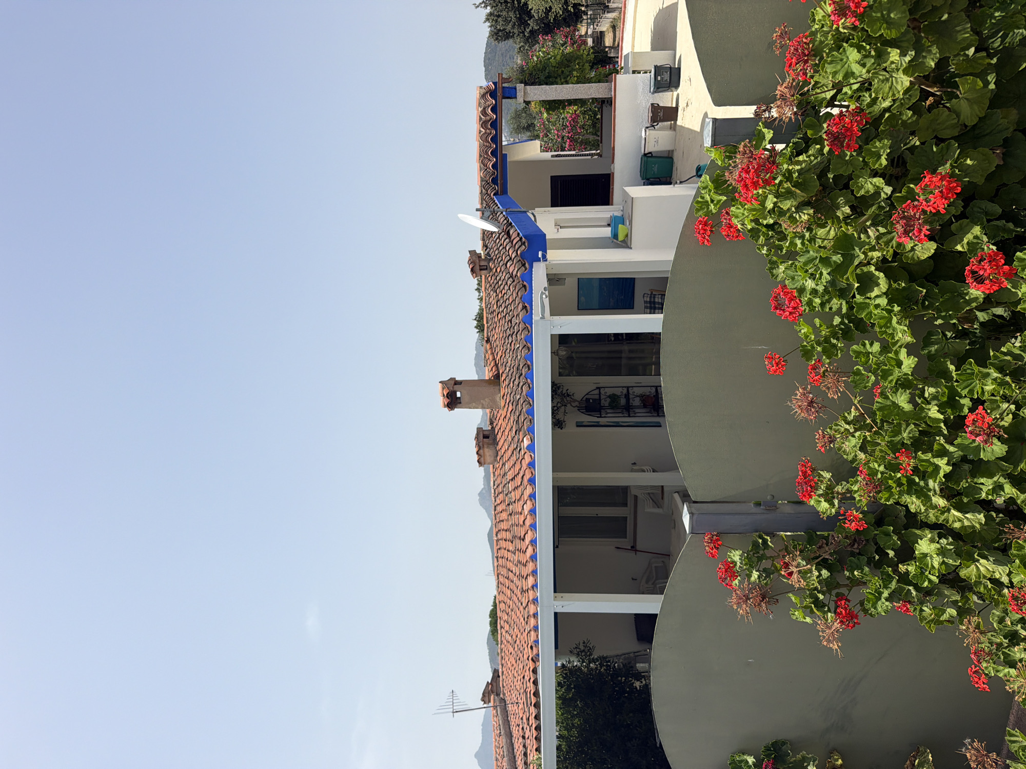 The image shows a sunny exterior view of a white house with a red tile roof and blue trim, situated in Santu Diadòru/San Teodoro, Italy. In the foreground, a low, curved, light green wall partially obscures a dense cluster of vibrant red geraniums in full bloom. The house features an open-air covered patio with white pillars and a white roof extending from the main structure. A window and a doorway with a blue frame are visible on the ground floor of the house. Behind the patio, a second, slightly taller section of the house is visible, also with a red tile roof and blue trim. A satellite dish is mounted on this section of the roof. Several trash bins (green, white, brown, and grey) are placed on a light-colored paved area near the house. In the background, distant hills and mountains are visible under a clear, pale blue sky. An antenna is mounted on the roof of the main house section. The overall scene depicts a residential area on a bright, clear day.
