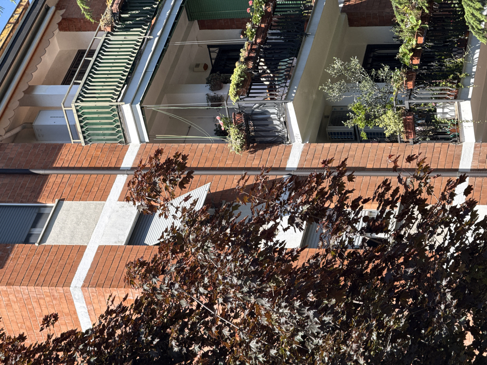 The image shows a multi-story brick building with white accents, likely located in Milan, Italy. The building has several balconies adorned with plants and flowers. A leafy tree obscures the lower portion of the facade. Each balcony contains various plants, and at least one air conditioning unit is present. The building appears to be a residential structure.