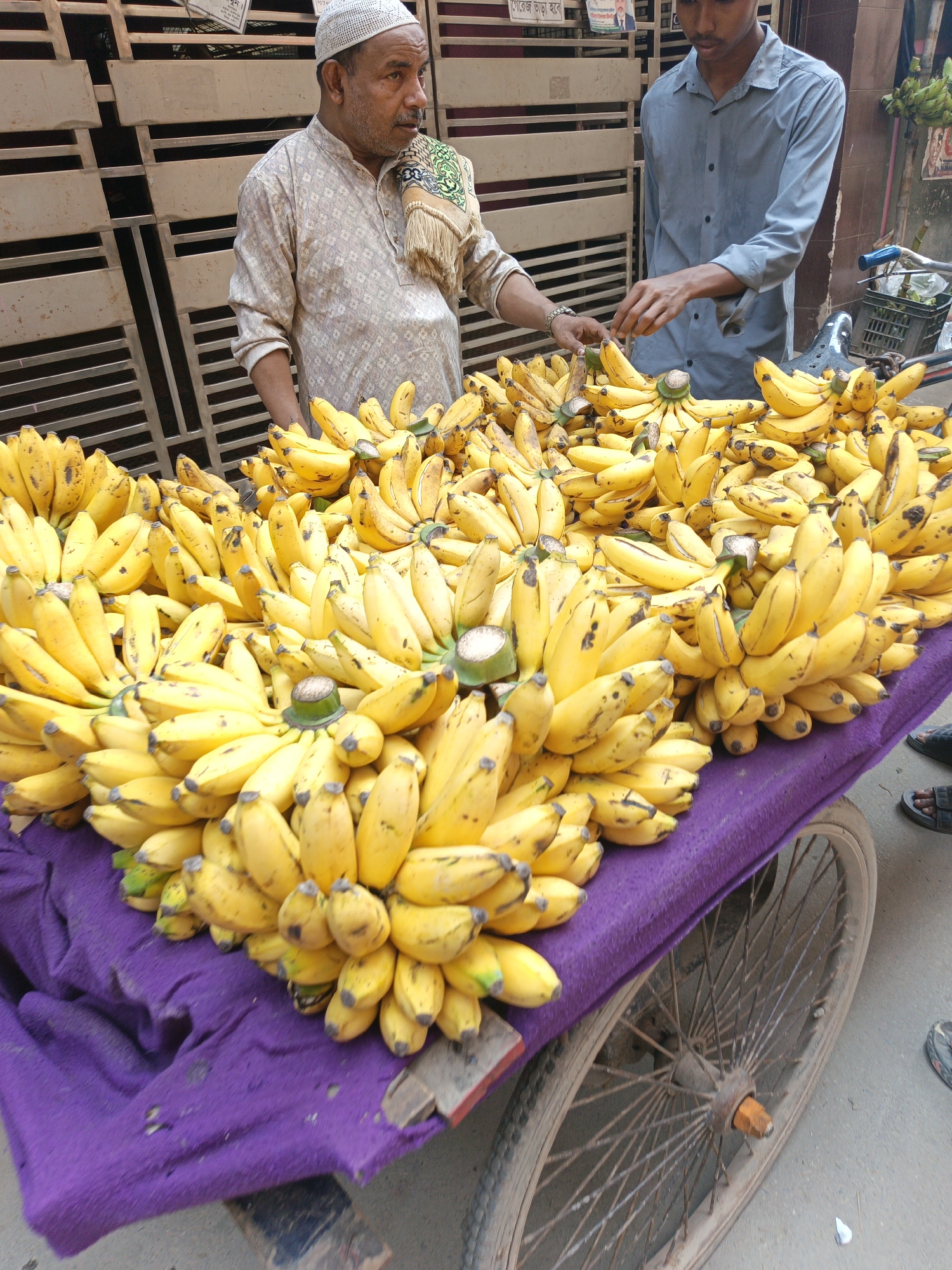 In Dhaka, Bangladesh, two men stand behind a cart laden with bunches of yellow bananas displayed on a purple cloth. One man wears a white prayer cap and patterned shirt, while the other wears a blue button-down shirt. The cart has spoked wheels. In the background is a metal gate. The man in the blue shirt appears to be examining the bananas. Additional bananas hang from a nearby structure. Footwear of other people is visible at the bottom right of the frame.