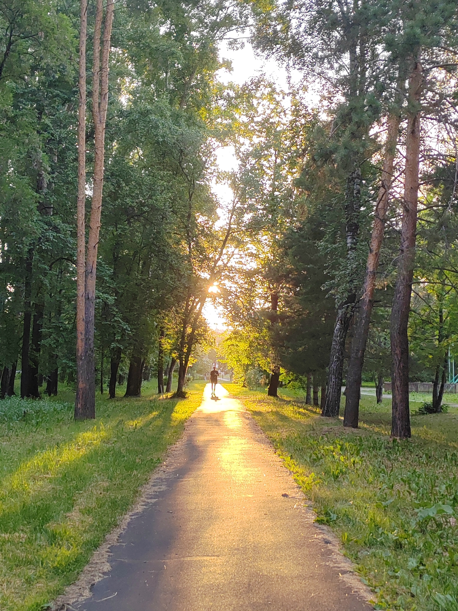 The image shows a paved pathway through a park lined with tall trees. The sun is setting, casting a warm golden light that illuminates the pathway and creates long shadows. The light is strong enough to be almost blinding in the distance, where the sun is peeking through the trees. A lone figure, silhouetted against the bright light, is walking away from the camera down the path. The figure appears to be jogging or walking briskly. The trees on either side of the path are lush and green, with leaves catching the sunlight. The ground on the sides of the path is covered in grass and some fallen leaves or debris along the edge of the pavement. The scene evokes a peaceful and serene atmosphere, suggesting an evening stroll or exercise in nature. The time of day is clearly sunset, indicated by the low angle of the sun and the warm, directional light. The location is a park in Kemerovo, Russia, as provided by the context. There is no visible text in the image.
