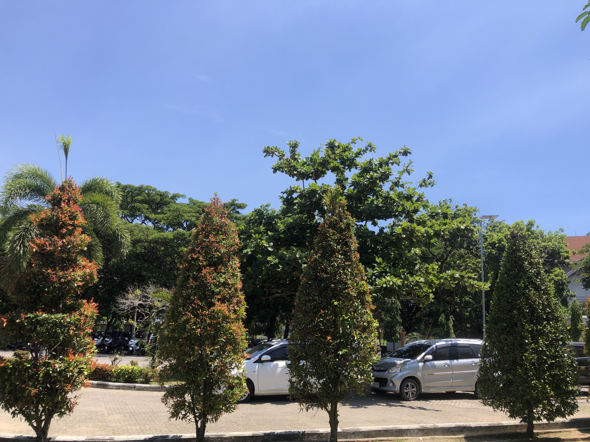 The image shows a daytime scene in Lhokseumawe, Indonesia. The sky is clear and blue. In the foreground, there is a paved area with a concrete curb. Four trees of varying sizes and shapes line the edge of the pavement. Behind the trees, there are several parked cars and motorcycles. The vehicles are parked on a paved surface. Behind the vehicles, there is a row of larger trees. The overall environment appears to be a parking area adjacent to a green space or park. No people are visible in the image.