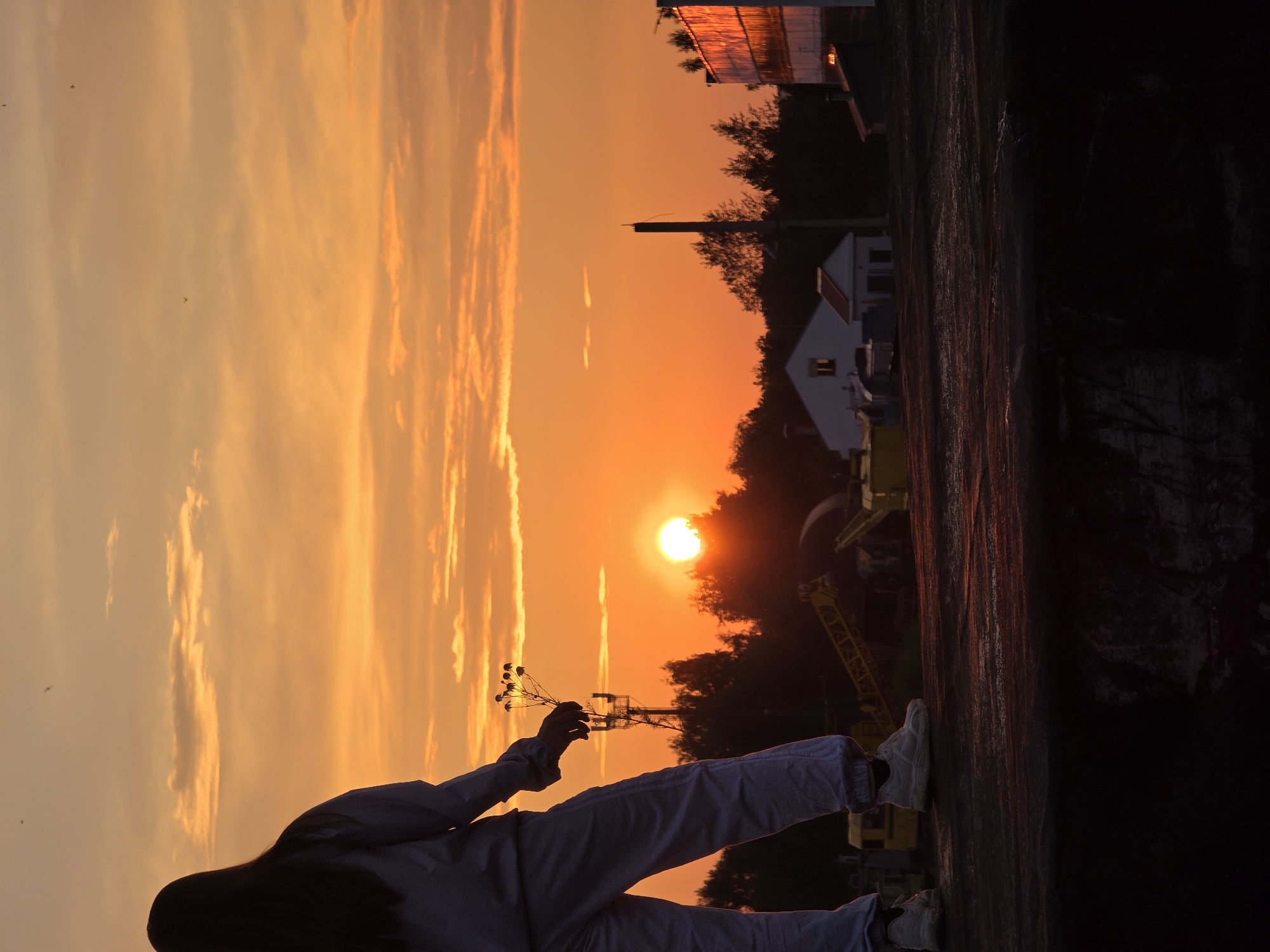An individual stands on a dark, textured surface, their back to the camera, holding a small cluster of dried flowers. They are wearing a light-colored tracksuit and white sneakers. The setting appears to be an industrial area on the outskirts of Chaikovsky, Russia, with a sunset casting a vibrant orange and yellow glow across the sky. In the background, silhouetted trees and industrial structures, including cranes and buildings, are visible. The sun is a bright orb, partially obscured by trees, and reflecting off a modern building on the right side of the frame. Several small birds are present in the sky. The overall atmosphere is serene and contemplative.