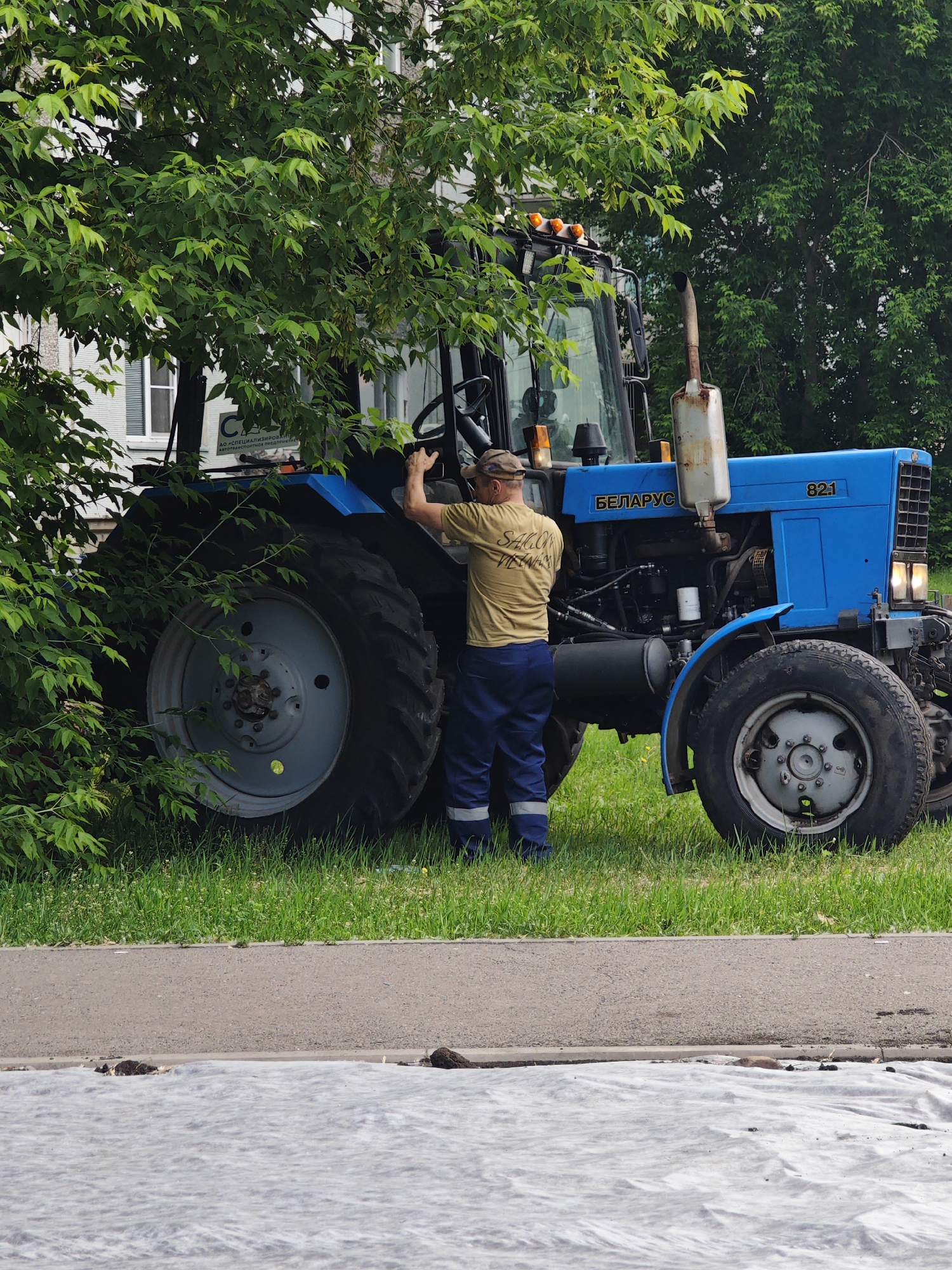 In Krasnoyarsk, Russia, a man in a yellow t-shirt and blue work pants stands beside a bright blue Belarus tractor, his right hand on the steering wheel. He is partially obscured by lush green foliage from a nearby tree. The tractor has the model number "82.1" and the word "БЕЛАРУС" (Belarus) printed on its side. Several amber lights are visible on the tractor's roof. The scene is set on a grassy area next to a paved walkway, with a white tarpaulin or covering spread on the ground in the foreground. The background features a building with windows and more trees.