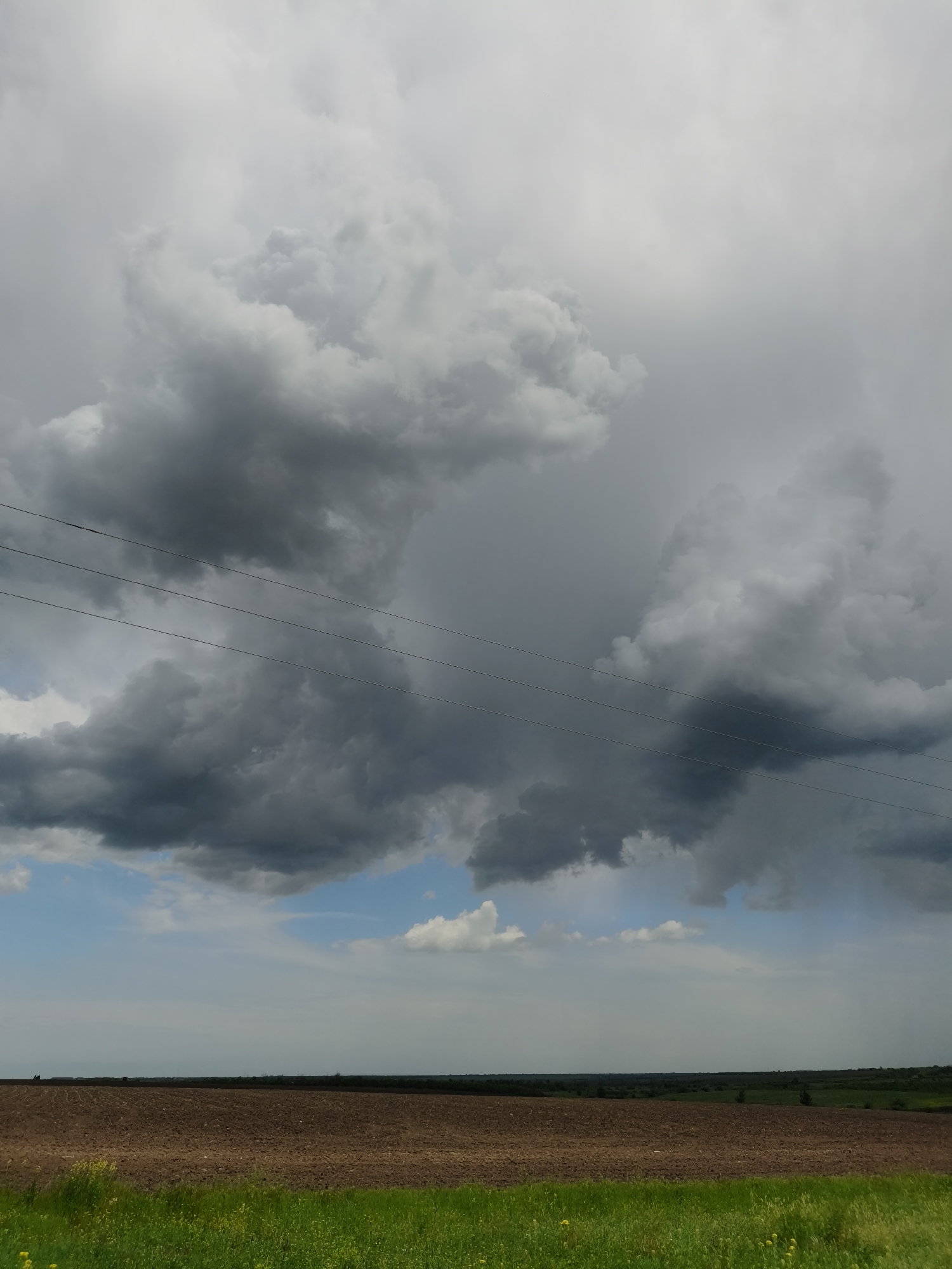 The image depicts a rural scene under a stormy sky, likely in the vicinity of Poltavka, Ukraine. Heavy, dark storm clouds dominate the upper portion of the image, with a small patch of blue sky visible through a break in the clouds. Three power lines traverse the upper part of the frame.
Below the clouds, the scene opens onto a field divided into distinct areas. The closest area is lush green grass with occasional yellow wildflowers. Behind that is a large expanse of tilled brown soil. In the distance, a band of darker green trees indicates a boundary, perhaps a treeline or a forest edge. The horizon line is somewhat indistinct due to the hazy or overcast conditions. No people are visible in the image.