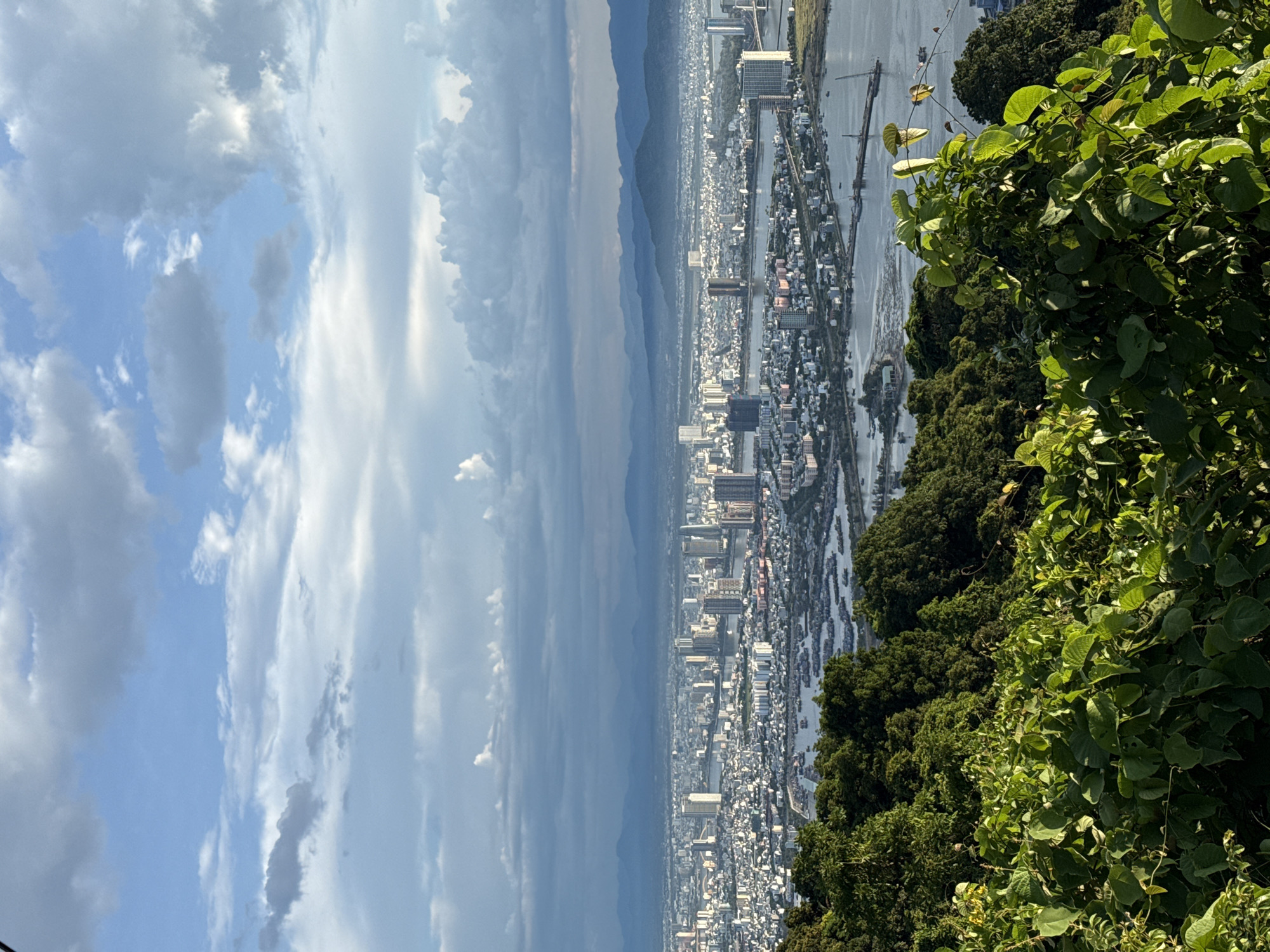 The image is a scenic aerial view of the city of Da Nang, Vietnam, taken from a high vantage point. In the foreground, lush green vegetation, including vines with broad leaves, occupies the lower portion of the frame. The middle ground features a dense urban landscape with numerous tall buildings and structures, interspersed with waterways and a harbor filled with small boats. The city stretches towards the horizon, where a range of mountains is visible, shrouded in a light haze. The sky above is a dynamic mix of blue sky and dramatic clouds, with sunlight filtering through, illuminating parts of the city. The overall impression is of a vibrant coastal city nestled between natural landscapes.