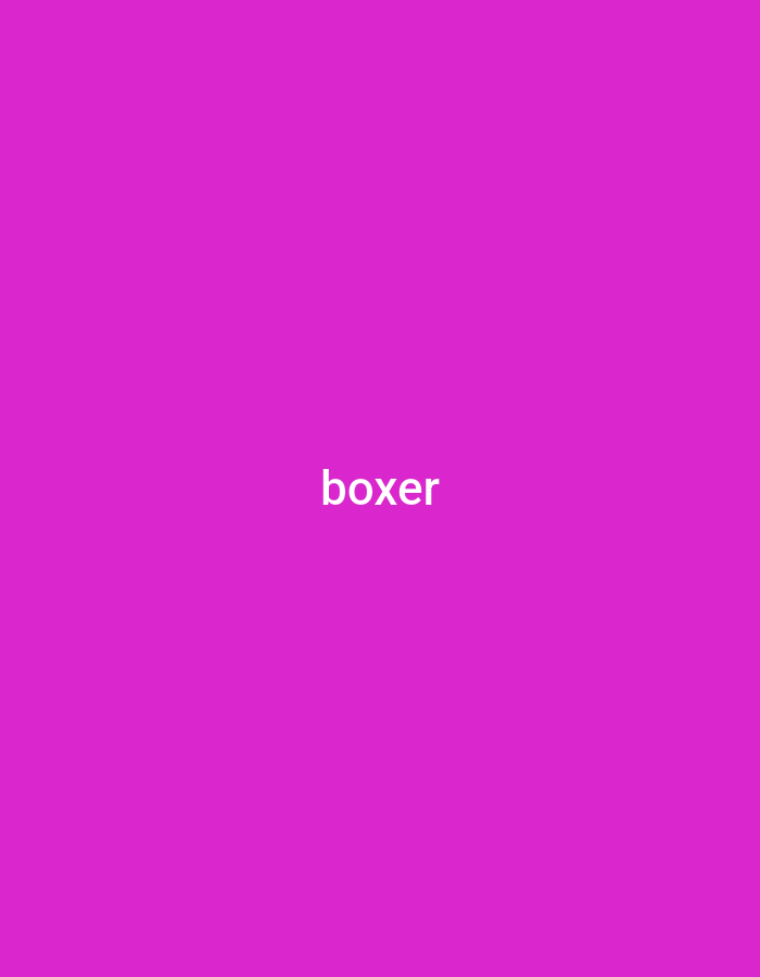 This is a minimalist image with a solid bright pink background. Centered on the image is the word "boxer" written in white, sans-serif text. There are no other discernible subjects, objects, or activities depicted. The image is a simple text overlay on a colored background, likely intended for a graphic design or informational purpose. There are no environmental cues suggesting time of day, weather, or a specific location. The overall impression is one of simplicity and directness due to the lack of visual complexity and the clear display of the text.