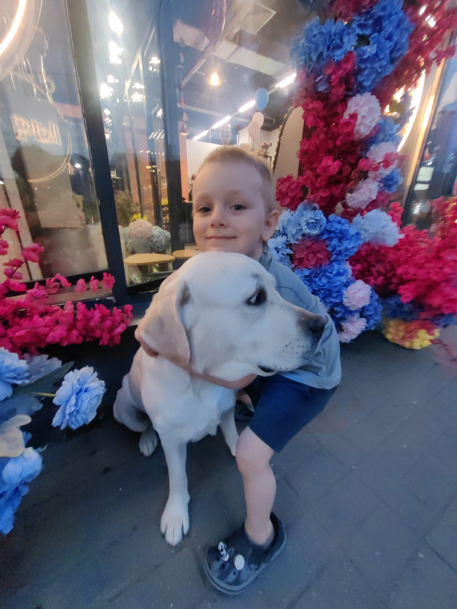 In Mytishchi, Russia, a young boy is embracing a white Labrador dog. The boy, wearing a grey shirt and navy blue shorts, has his arms wrapped around the dog's neck. The Labrador is looking to its left with its mouth slightly open. They are positioned in front of a vibrant display of artificial flowers, featuring shades of pink, blue, and red. The background appears to be a glass storefront, possibly a shop or restaurant, with reflections of interior lighting visible. Blue and pink flowers are also scattered in the foreground. The ground is paved with rectangular tiles. The overall lighting suggests it is dusk or evening.