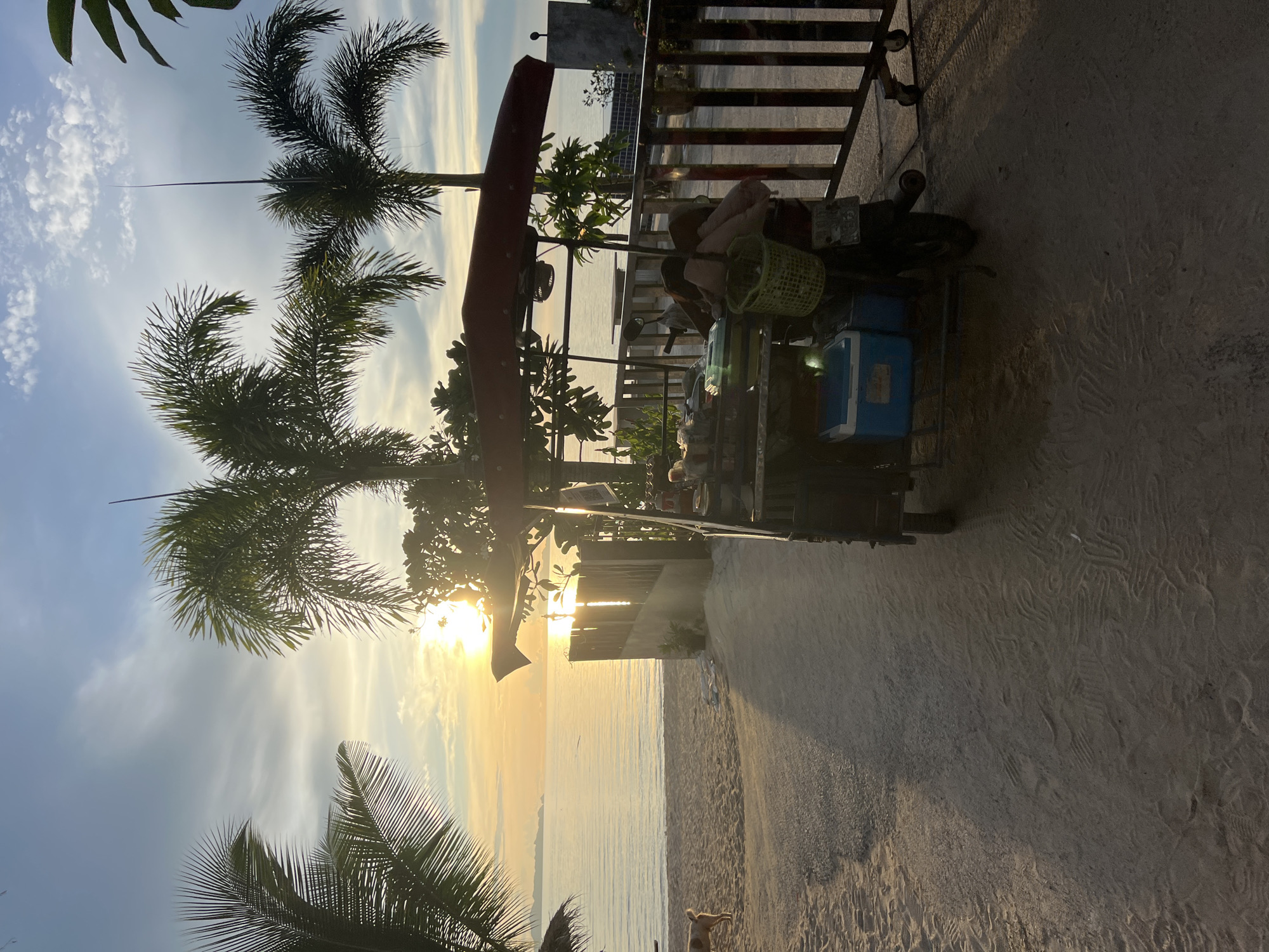 The image depicts a serene beach scene at sunset. The sun, a bright orb of golden light, is partially obscured by palm trees and clouds, casting a warm glow across the calm ocean and sandy shore. In the foreground, a food cart, likely a motorbike-powered mobile vendor, is parked on the sandy ground. The cart is equipped with a canopy, a fan, and various items suggesting it's prepared for business. A green basket and a blue cooler are visible on the cart. A fence separates the sandy area from a more structured area with a railing and what appears to be a building in the background. A dog stands on the beach to the left, facing the ocean. The overall atmosphere is peaceful and tropical.