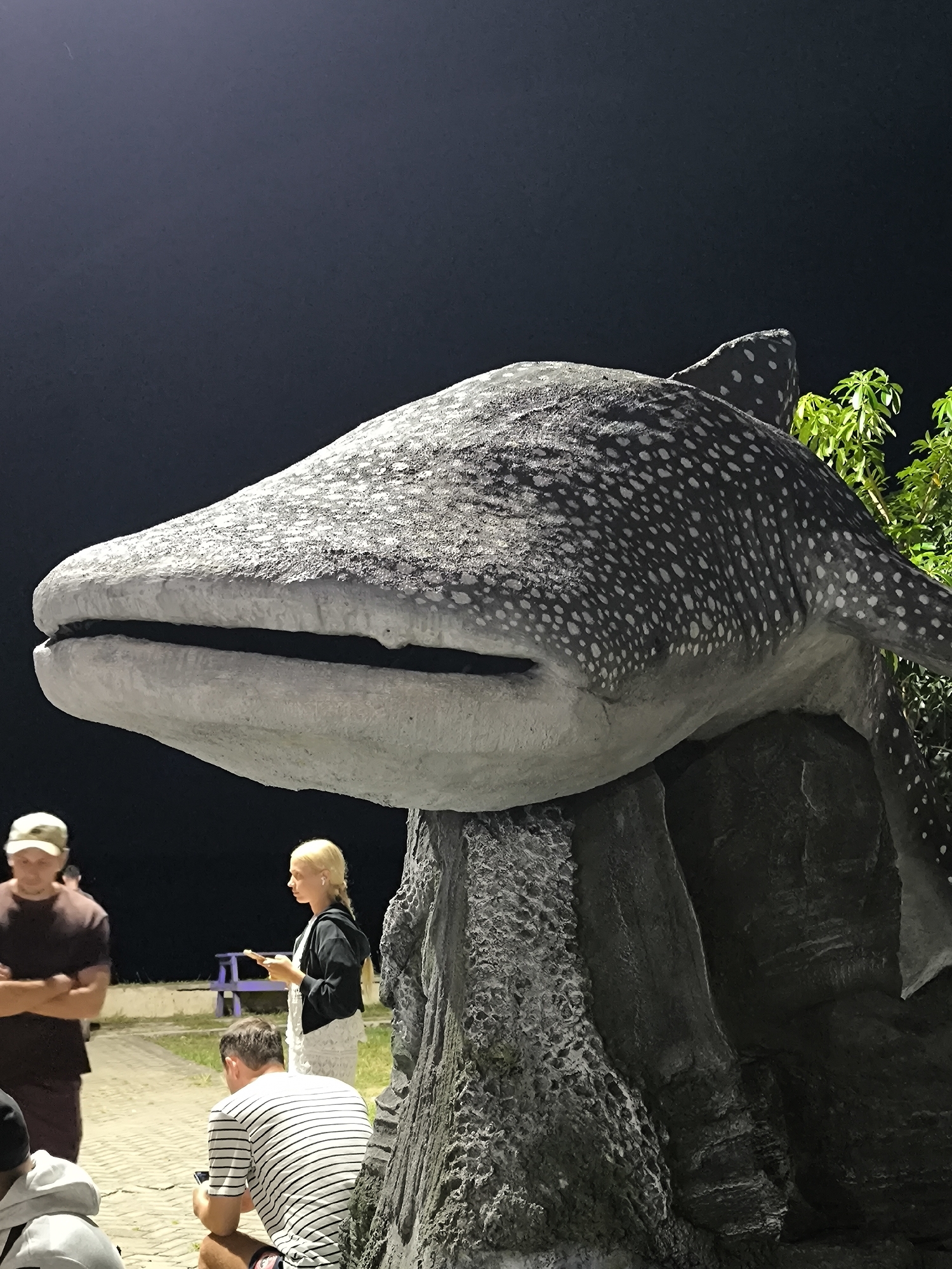 At night in Labuan Jambu, Indonesia, a large statue of a whale shark dominates the frame. The statue is gray with white spots, and it rests on a gray, rock-like base. Several people stand around the statue. A man wearing a baseball cap stands to the left with his arms crossed. A blonde woman wearing a black jacket and white dress holds a mobile phone. Another person, wearing a striped shirt, kneels facing away from the camera, also looking at a mobile phone. A bench is visible in the background. Some green plants are visible next to the statue. The background is dark, and the lighting is artificial.
