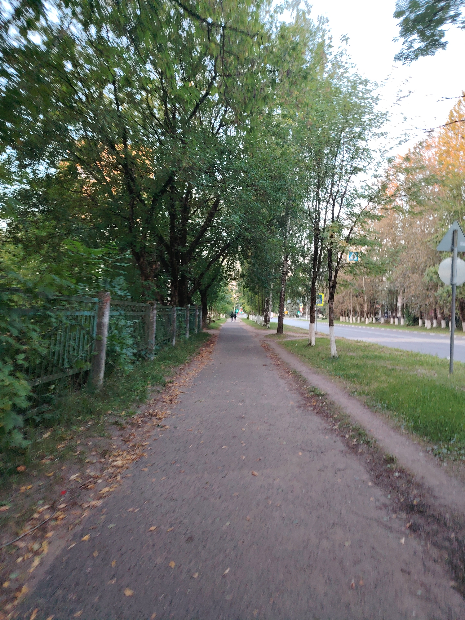 The image depicts a sidewalk running alongside a tree-lined street in Konakovo, Russia. The sidewalk is paved with asphalt and bordered by a green metal fence on the left and a grassy area on the right. Fallen leaves are scattered on the sidewalk and grass, suggesting it is autumn. Several trees with green foliage line the street, and some have their lower trunks painted white. Across the street, there is a road with cars visible in the distance. Traffic signs are present along the roadside. Two figures are walking on the sidewalk in the distance. The lighting suggests it is late afternoon or early evening.