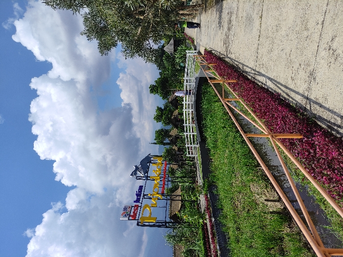 The image shows a pathway leading to a small bridge, located in a park in Kecamatan Pujon, Indonesia. The pathway is paved with grey concrete and lined with a brown wooden railing, with a small ditch and green grass on the left side. The ditch is filled with water. On the right side of the pathway, there is a row of purple flowers. In the background, a large metal sign with a horse sculpture is visible. The sign contains the words "BRI" and "Indian," partially obscured by the foliage. A white bridge spanning the ditch can be seen in the distance. Two people, one wearing a white shirt and another in a blue shirt, can be seen walking on the pathway. The sky is partly cloudy, with large white clouds floating overhead. The surrounding vegetation appears to be a combination of cultivated and wild plants, including trees and shrubs. The overall environment is serene and park-like.