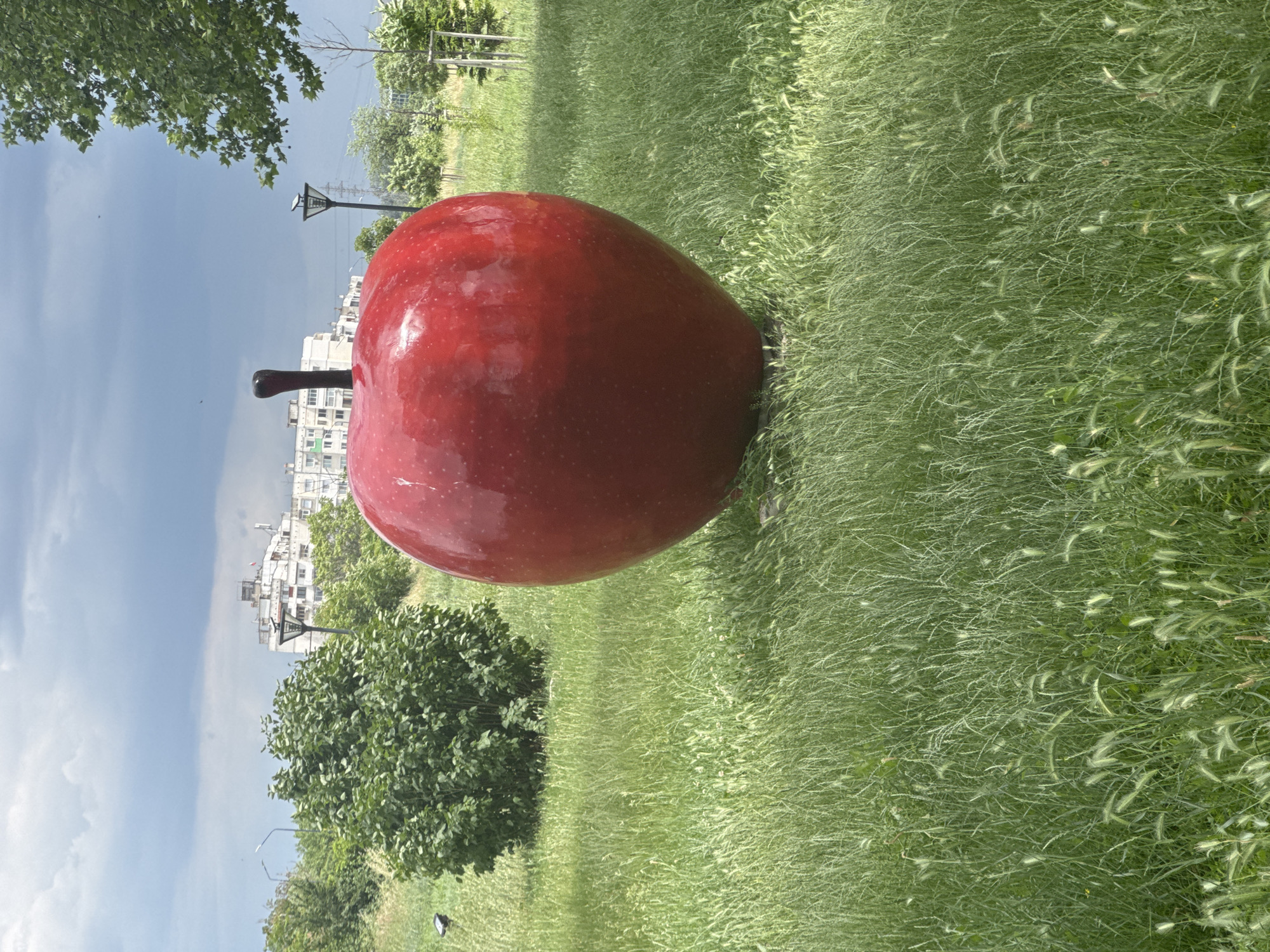 A large, red, glossy apple sculpture sits in a field of tall green grass. The scene appears to be in a park or green space, with buildings visible in the background. The sky is partly cloudy. The apple has a brown stem. There is a bush behind the apple and a light post visible in the distance. The location is Unknown, Unknown.