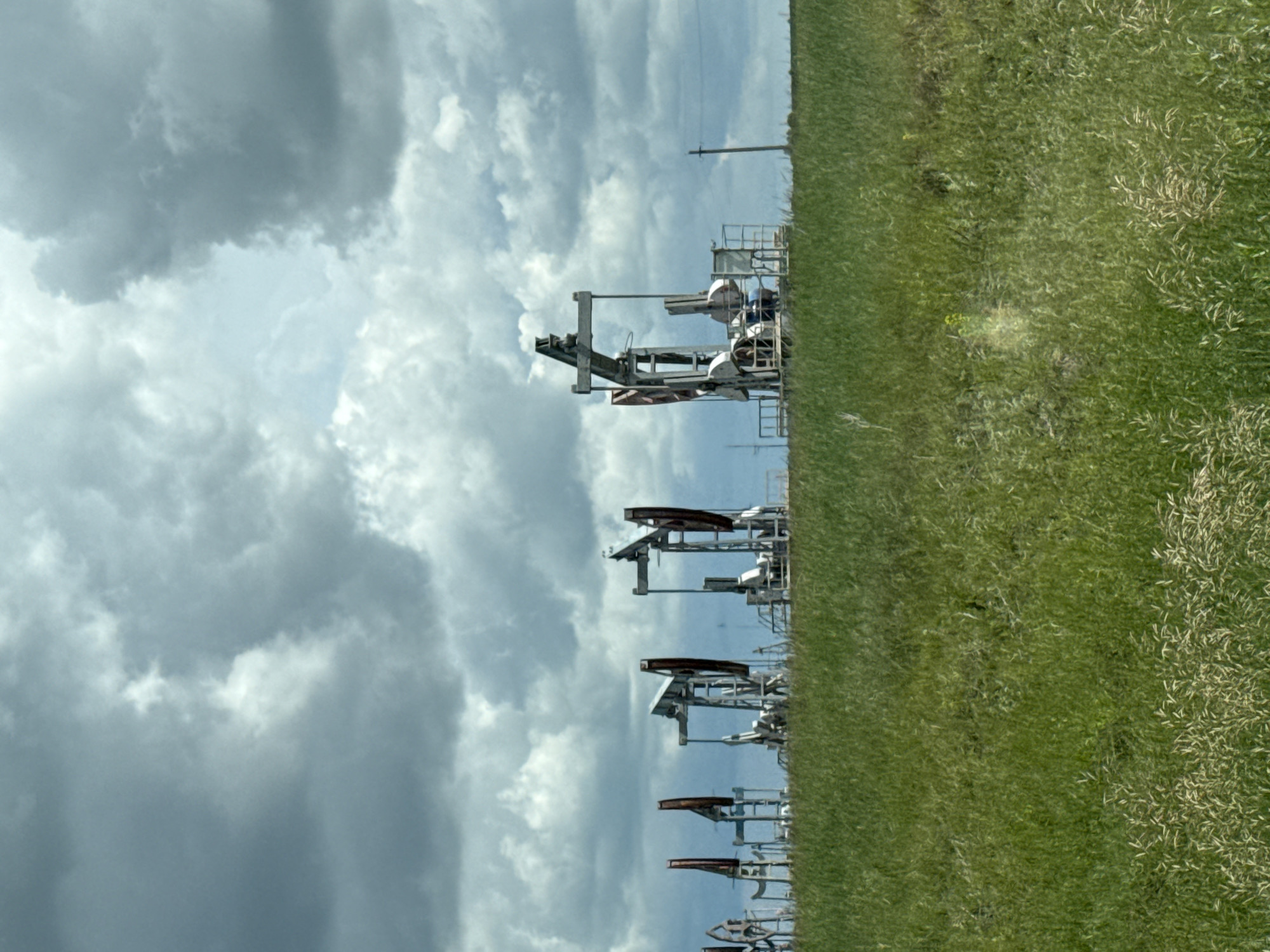 This image depicts a line of oil pumpjacks in a grassy field under a cloudy sky. The pumpjacks are positioned in the middle ground, stretching horizontally across the frame. They are industrial machines with a distinctive rocking motion mechanism. The foreground is dominated by a dense green field of grass, with some lighter-colored stalks interspersed. The background features a vast expanse of clouds, with varying shades of gray and white, suggesting an overcast or stormy day. The scene is characteristic of an oil extraction site, likely in a rural or semi-rural area. The location specified, Сыйрышбашево, Russia, provides a geographic context for this industrial landscape. There are no people or visible animals in the image. The overall impression is one of an industrial operation set against a natural, albeit cloudy, environment.
