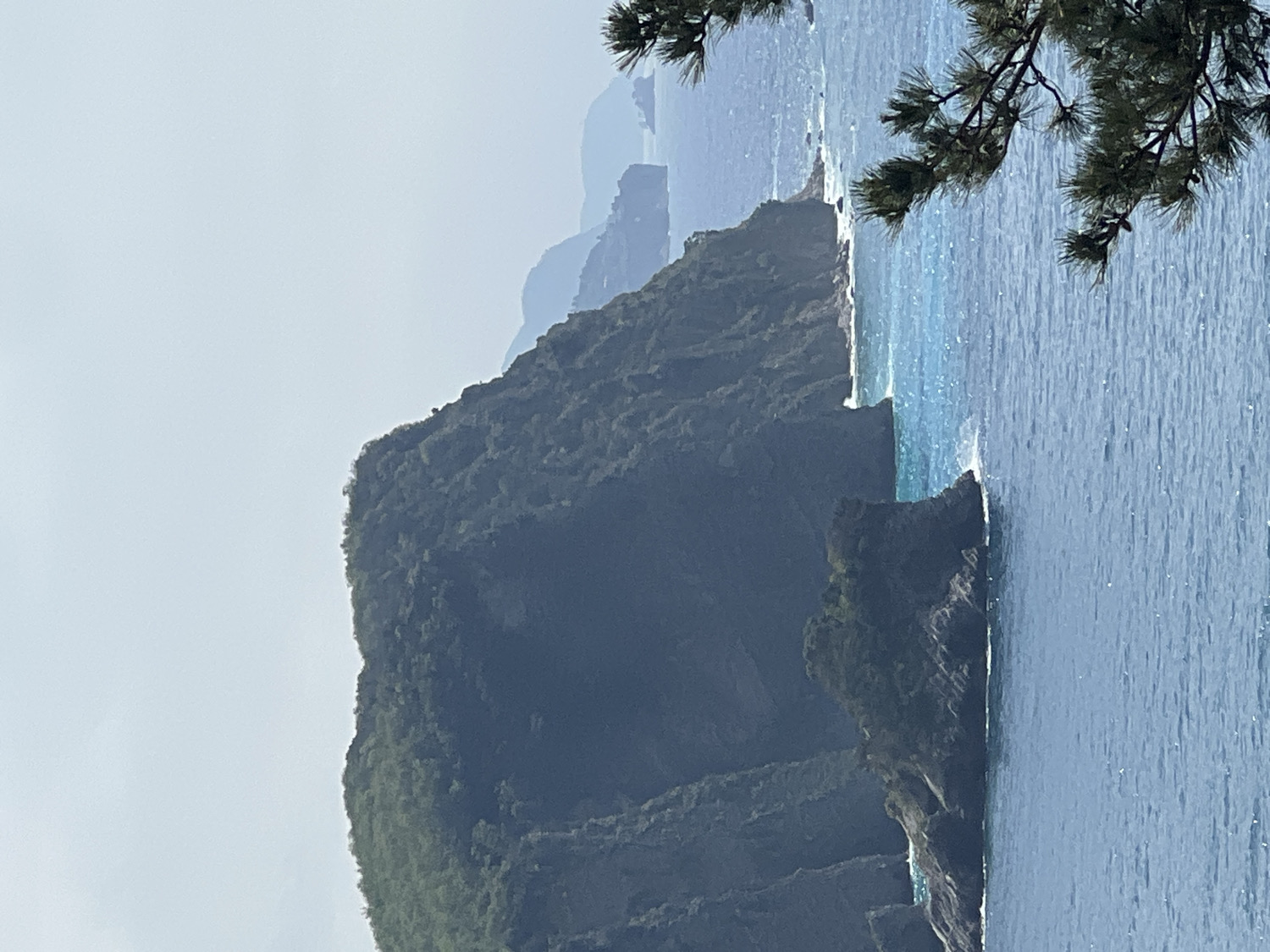 This image captures a panoramic view of a rugged coastline, likely along the Adriatic Sea, consistent with the location of Budva, Montenegro. The scene is dominated by steep, verdant cliffs meeting the water.
In the foreground and to the right, the deep blue sea stretches out, glistening with sunlight that creates shimmering highlights on its surface, particularly in lighter turquoise patches closer to the shore. The water appears calm with subtle ripples.
To the left, a prominent, dark green, forested mountain or cliff face descends sharply into the sea. Its surface is densely covered in trees and vegetation, giving it a rich, textured appearance. Further along the coastline, successive layers of similar mountains recede into the distance, becoming progressively lighter and hazier, illustrating atmospheric perspective.
A dark, out-of-focus pine branch with needles hangs into the upper right corner of the frame, suggesting the photograph was taken from under or near a tree at a elevated viewpoint. The sky, visible above the distant landmasses, appears light blue or hazy grey.
The lighting indicates daytime, with bright, diffused sunlight. No people or visible text are present. The overall impression is one of serene natural beauty and the majestic scale of the coastal landscape.