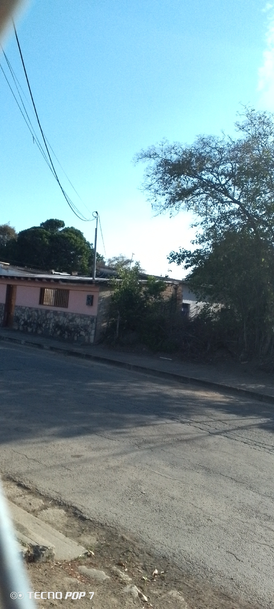 The image shows a street scene in Altagracia, Venezuela. A paved road occupies the foreground and middle ground, casting shadows. A single-story building is situated on the left, featuring a pink facade with stone veneer. A window with visible bars and a door are present. Adjacent to the building, a green bush grows. A utility pole stands near the building, connected to overhead power lines. A large tree with sparse foliage occupies the right side of the frame. The sky is blue. The lower left corner of the image includes the inscription "TECNOP OP 7".