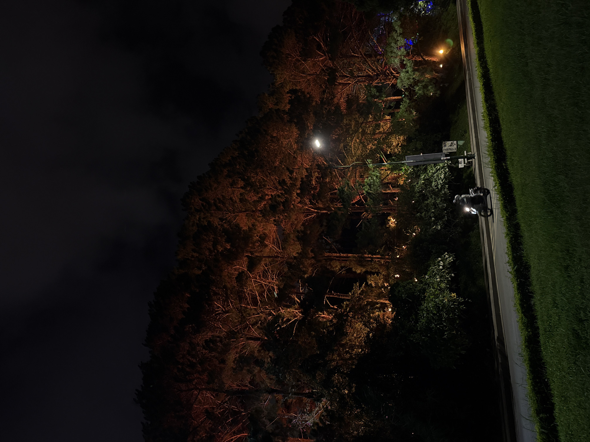 The vertical image captures a quiet, dark night scene in Da Lat, Vietnam, characterized by artificial light illuminating a pathway alongside a dense forest. On the right side, a manicured strip of bright green grass runs vertically, bordered by a curb. Adjacent to the grass is a paved path or narrow road, also extending vertically, which appears damp or reflective in places.
To the left of the path, a dense wall of trees forms a dark, looming forest. The foliage, likely pines and other evergreens, is illuminated by various light sources, casting warm orange and yellow glows on the branches and leaves, particularly in the center and upper left. A prominent streetlight with a bright white glow hangs over the path, casting a strong light on the immediate area. Further back in the forest, faint blue and warmer decorative lights are subtly visible among the trees, suggesting some form of landscaping or distant structures.
A dark-colored motorcycle or scooter is parked on the edge of the path, beneath the main streetlight, its contours highlighted by the light. Near the motorcycle, a white sign with dark text is attached to a pole. The text on the sign is largely illegible due to distance and resolution, but the upper part might include Vietnamese characters that could indicate a gate or entrance, given the location context. Below it, a smaller, darker sign is also visible but unreadable.
No people are visible, and no active events are taking place, creating a serene and somewhat mysterious atmosphere. The sky above the trees is dark with subtle cloud formations, typical of a clear night.