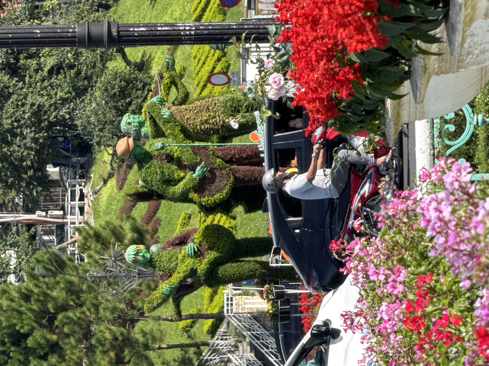 The image depicts a sunny outdoor scene in Da Lat, Vietnam, characterized by vibrant greenery and floral displays. In the foreground, a person wearing a helmet is riding a red and white scooter. A white car is parked to the left, and a black car is behind the scooter. The background features three large topiary figures resembling people playing musical instruments, made entirely of green foliage. These figures are situated on a grassy slope, with trees and a white railing visible further up. Red and pink flowers in pots and planters add color to the scene, contrasting with the lush green landscape and the foliage sculptures. The overall impression is one of a well-maintained public space adorned with natural elements.