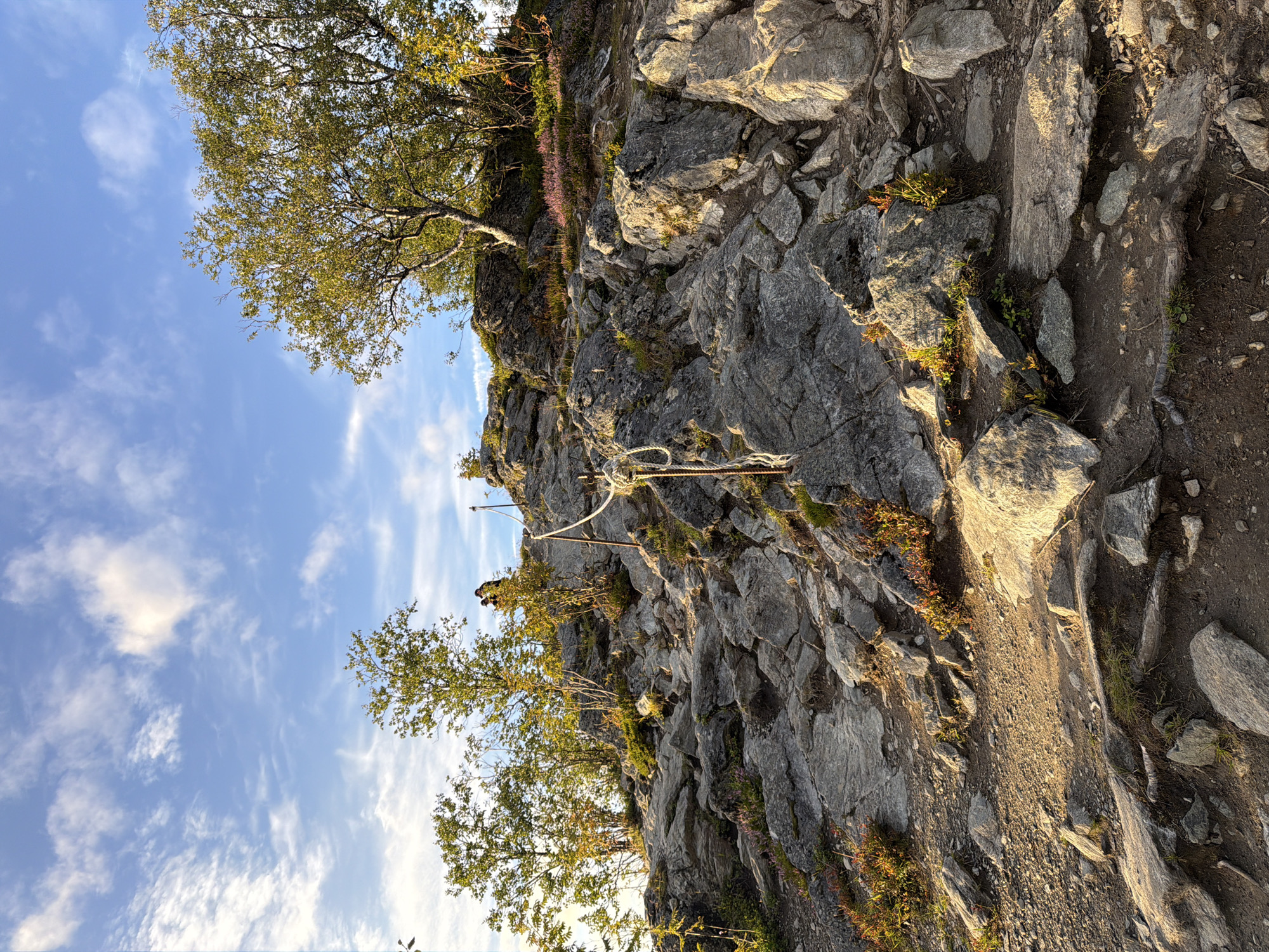 The image depicts a rocky hiking trail on a mountainside, likely in the vicinity of Harstad, Norway, given the presence of birch trees and the characteristic terrain. The trail ascends, marked by a thick rope secured to metal posts, serving as a handrail for hikers. Two individuals are visible on the trail ahead, one standing and looking towards the camera, the other seemingly engaged in conversation. The terrain is rugged, with large rocks and scattered vegetation, including low-lying bushes and some flowering plants with purple blooms. The sky above is a clear blue with scattered white clouds, and the late afternoon sun casts long shadows and highlights the rocks with warm light, suggesting the time of day is approaching evening. The overall scene conveys a sense of natural beauty and an outdoor recreational activity.