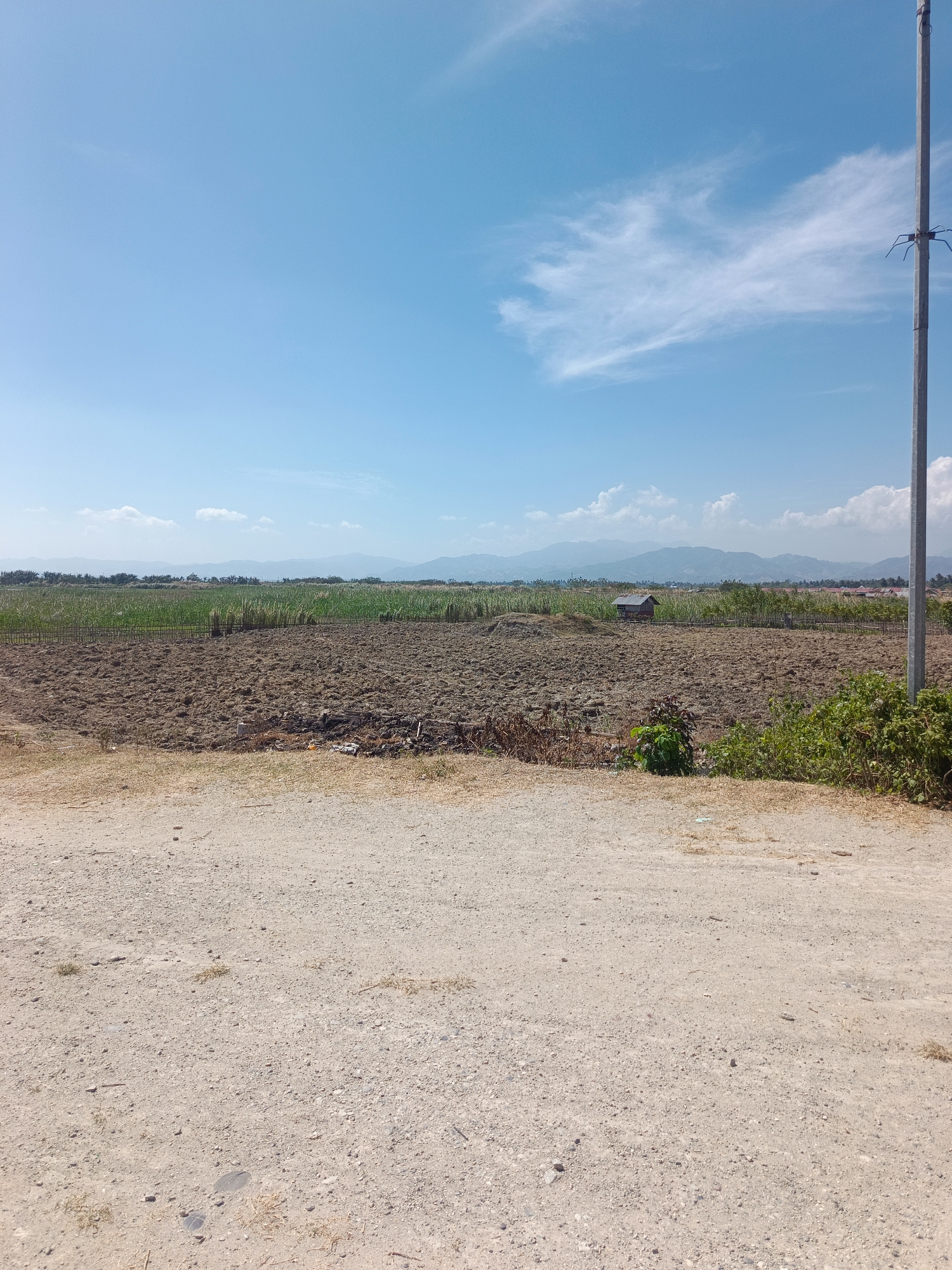 The image depicts a rural landscape under a bright blue sky with sparse white clouds. In the foreground, a dusty, unpaved road occupies the lower portion of the frame. Beyond the road, a large, tilled field stretches across the mid-ground, appearing dry and barren. In the distance, rows of green vegetation, possibly crops or trees, form a distinct line separating the field from the horizon. Further back, a small, rustic wooden hut with a dark roof is visible nestled amongst the greenery. The background features a range of hazy mountains under the expansive sky. A tall, gray utility pole stands on the right side of the image, near the edge of the field. The scene suggests an agricultural setting in a rural area, likely in Ilotidea, Indonesia, given the context. There are no people visible in the image.