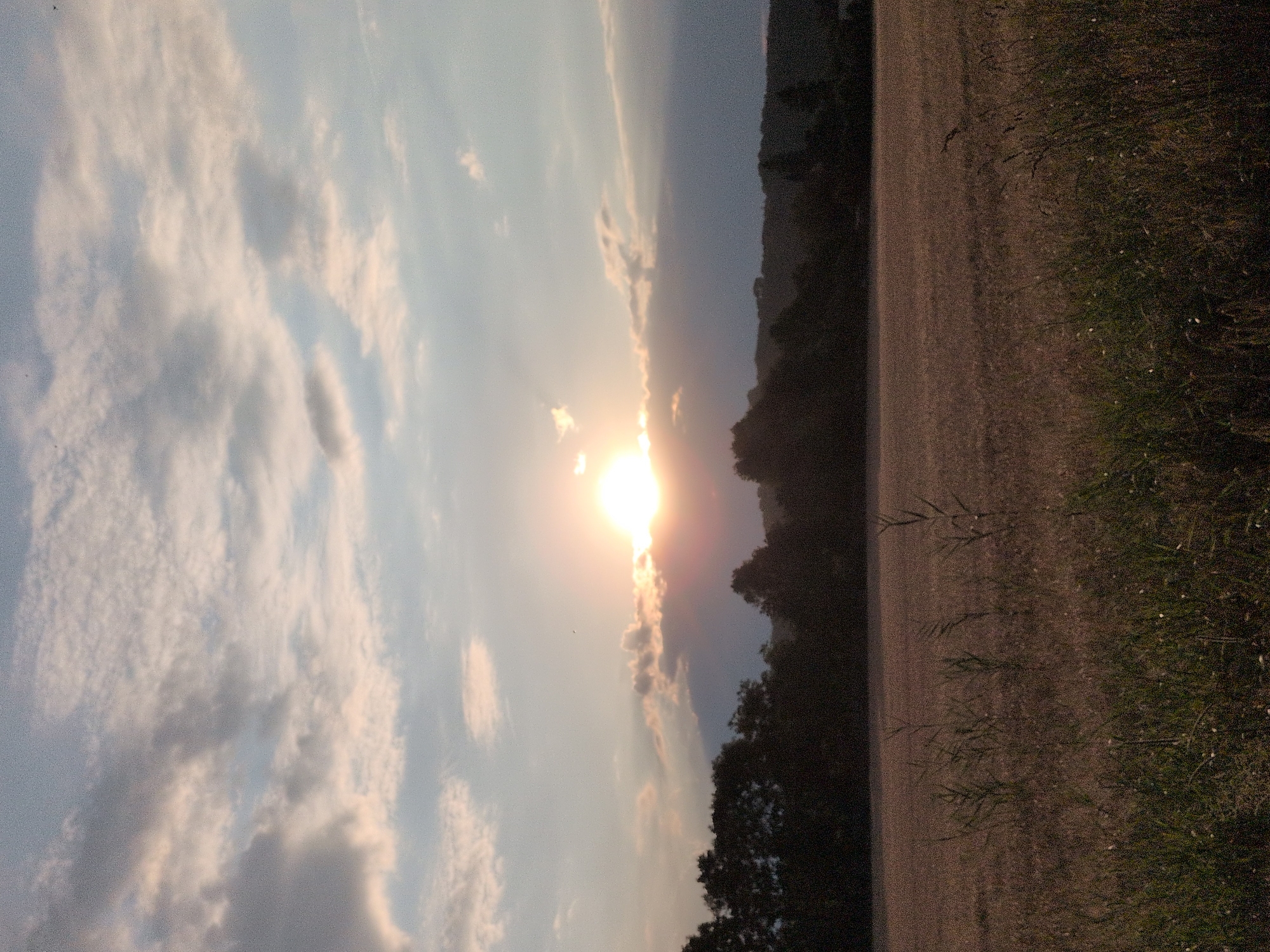An exterior, medium shot captures a sunset over a field in Rastenberg, Germany. The sky is a mix of blue and white clouds, with the sun appearing as a bright, glowing orb peeking through a dark cloud bank. A line of silhouetted trees borders the horizon, with hills visible beyond. The foreground is a field of dry grass and scattered vegetation. The image is dimly lit due to the time of day.