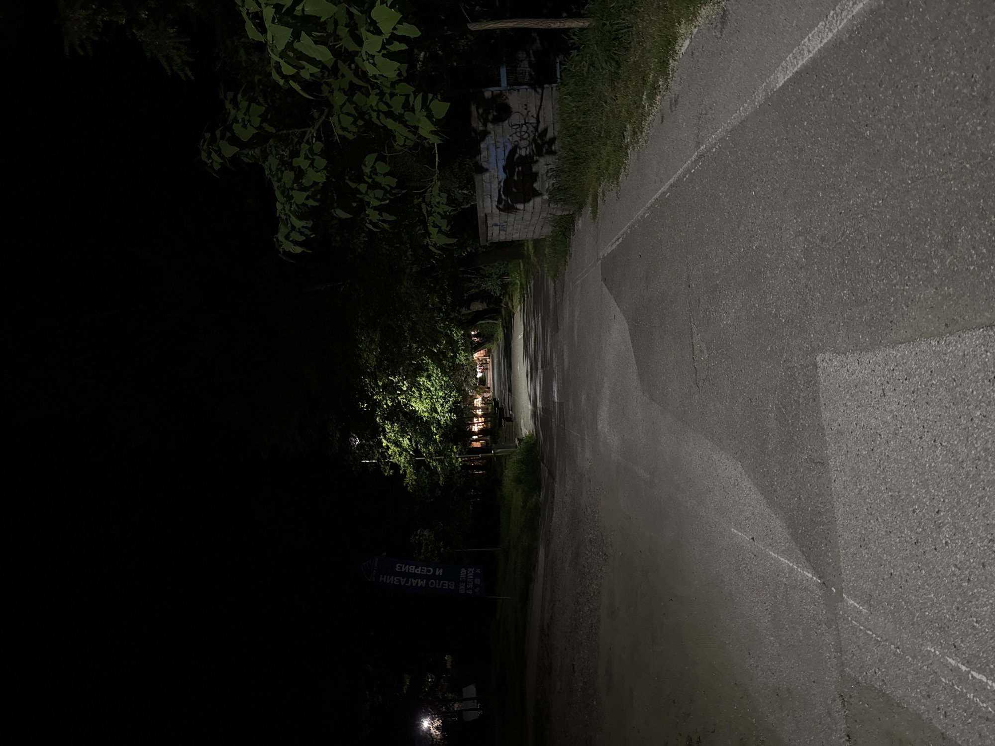 The image shows a nighttime street scene in Blagoevgrad, Bulgaria. A paved road stretches into the distance, illuminated by streetlights and light emanating from buildings further down the street. The road is bordered by vegetation, including trees and grass. A sign is visible on the left side of the road, advertising a "Bike Shop & Service" in both Bulgarian and English. The sign reads "ВЕЛО МАГАЗИН И СЕРВИЗ". A brick structure covered in graffiti stands along the side of the road. The environment is dark, and the details are partially obscured by the low light conditions.