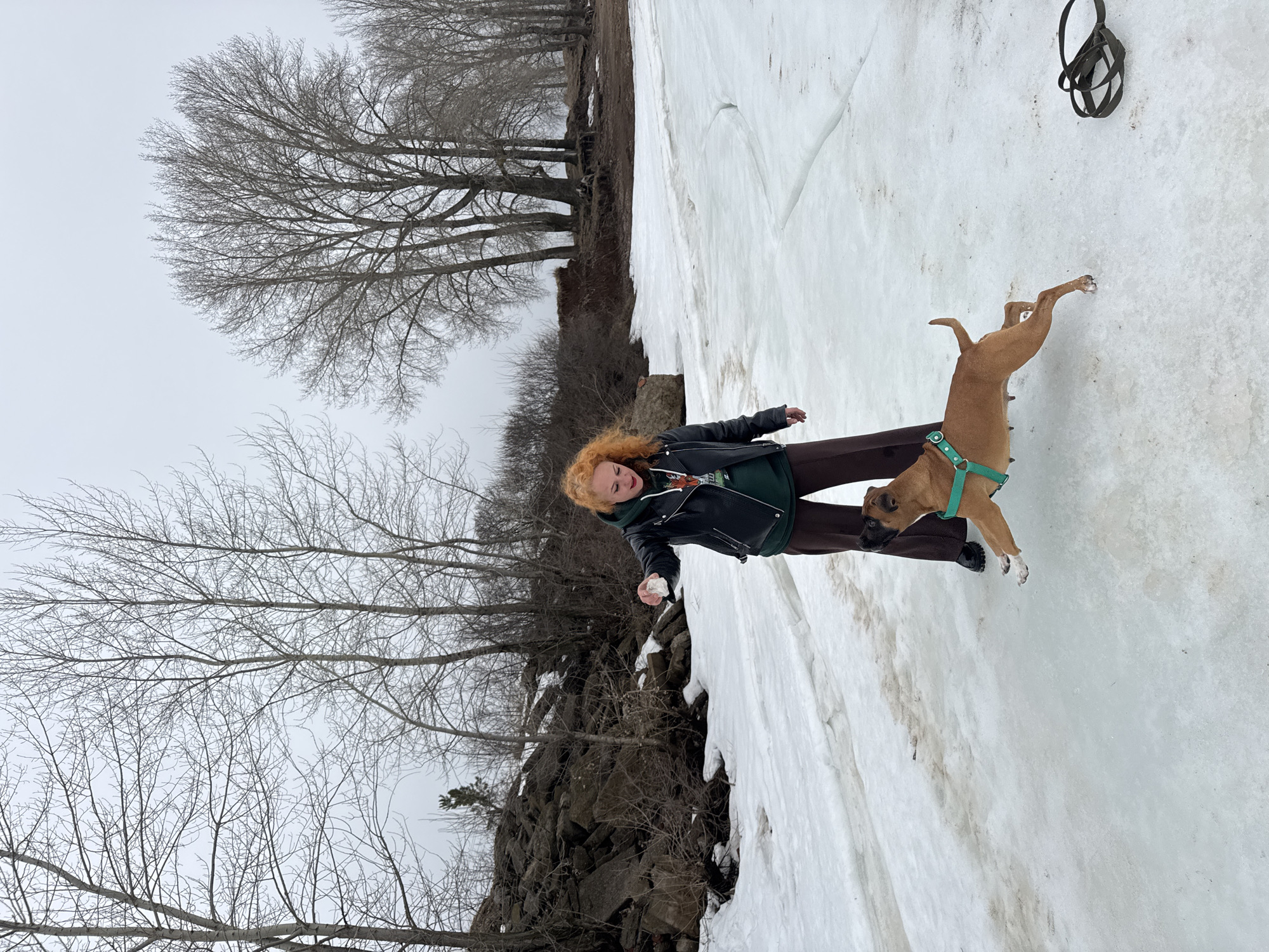 A person with red hair, wearing a black jacket over a green shirt and brown pants, is holding a snowball in an area covered in snow. A brown dog with a green harness is jumping up next to the person. In the background, there are bare trees and rocks. The location is Chaikovsky, Russia. A dog leash hangs from a snowy surface.