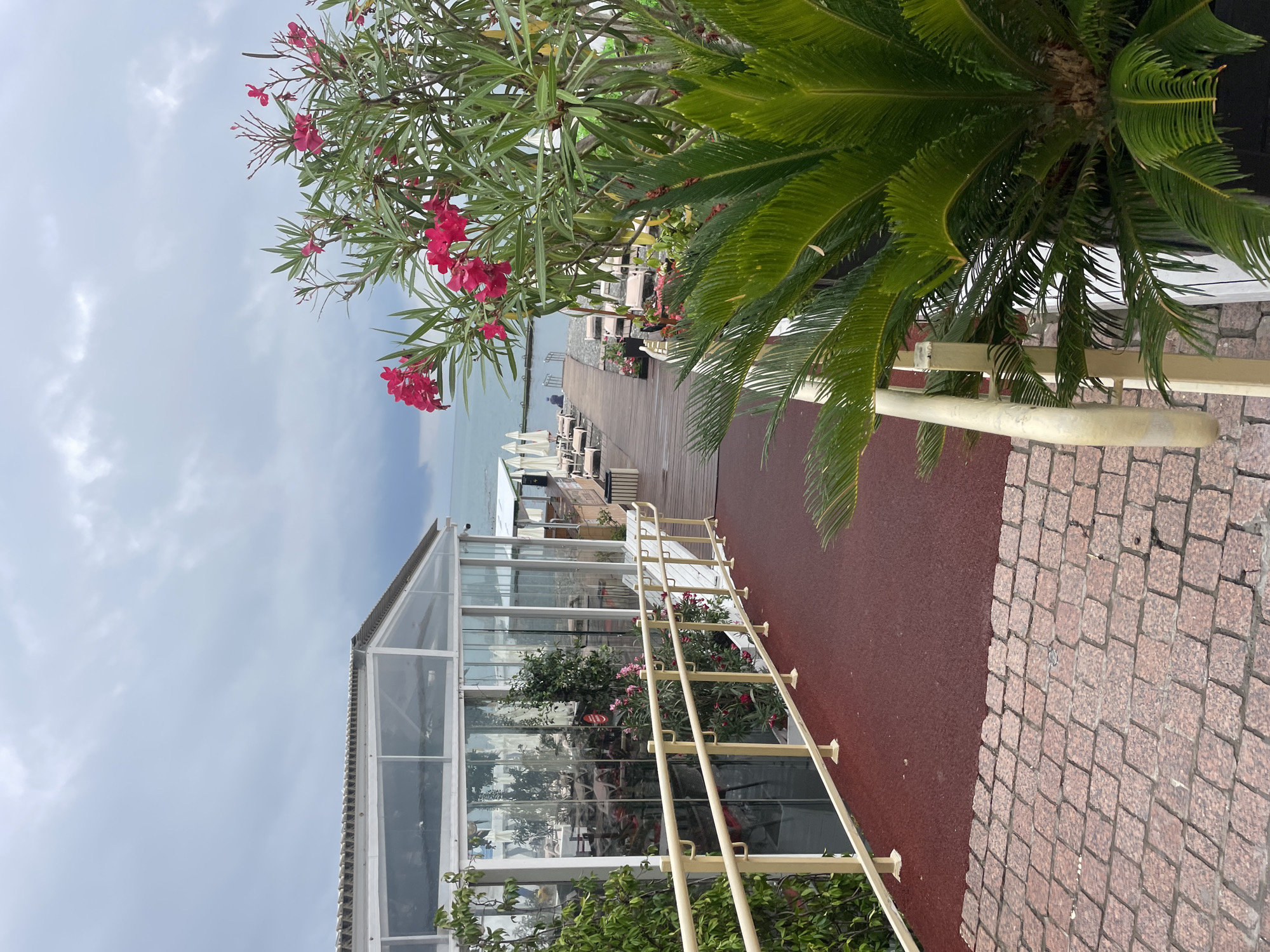 This image depicts an outdoor seating area and pathway leading to a pier at a beachfront establishment in Sochi, Russia. A modern building with a glass facade, presumably a restaurant or cafe, is visible on the left. The pathway is paved with red material, transitioning to cobblestones in the foreground, and is bordered by a yellow railing. Lush green plants, including a palm-like plant and a flowering bush with bright pink blossoms, are prominent in the foreground and along the path. Beyond the building, a wooden pier extends over the water, lined with lounge chairs and umbrellas, suggesting a resort or leisure facility. The sky is overcast, with dramatic clouds. The sea is visible in the background. A single person is seated on the pier in the distance.