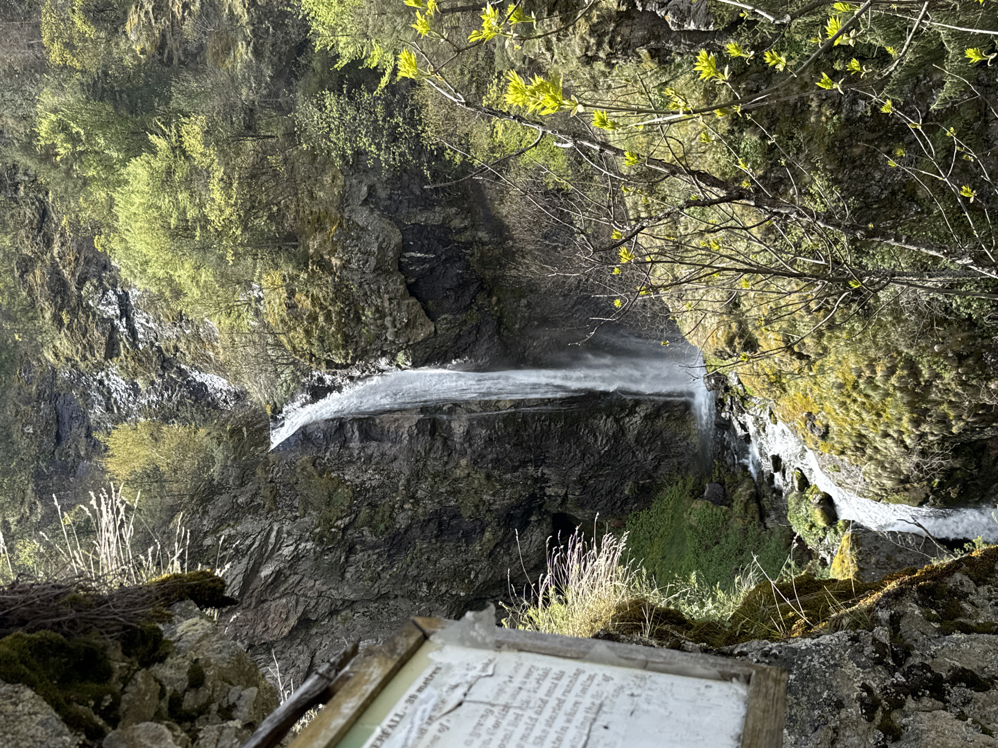 The image captures a scene of the Ovcharchenski Waterfall, located in the city of Ovchartsi, Bulgaria. The waterfall cascades down a rocky cliff, surrounded by lush greenery, including trees with fresh spring foliage. A weathered wooden sign is positioned in the foreground, partly obscuring the view, with legible text indicating the waterfall's height as 35 meters and some partially illegible text about a girl named Contrevez. Moss-covered rocks are present at the edge of the cliff where the photo is taken, adding texture to the foreground. The lighting in the image is uneven, with some areas brightly lit by sunlight and others cast in shadow.