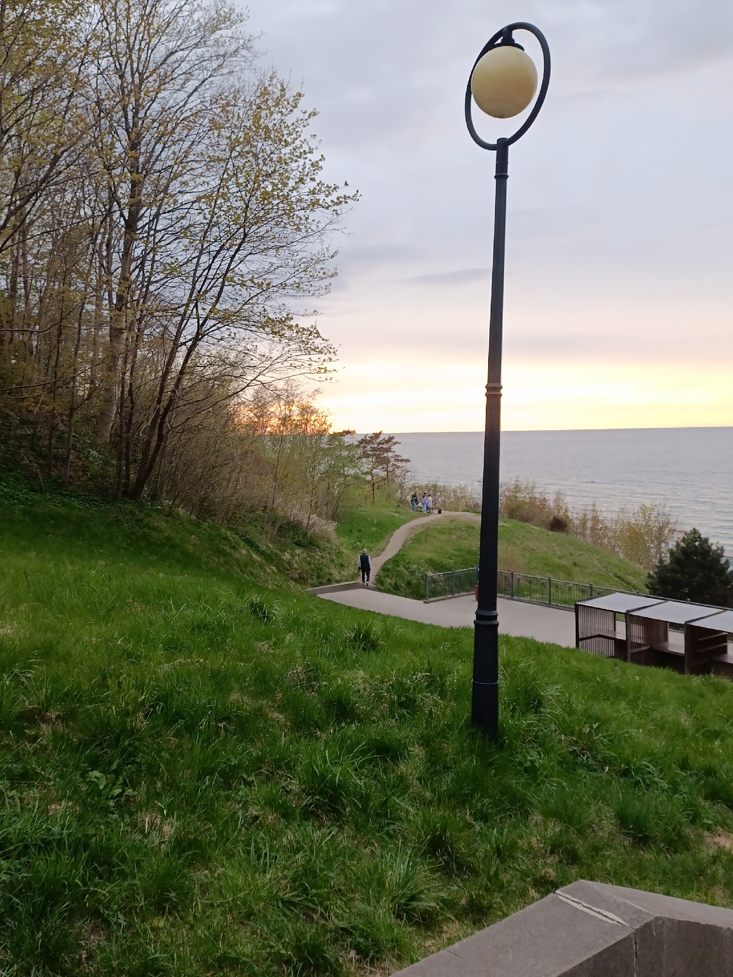 The image depicts a park in Svetlogorsk, Russia, located along the Baltic Sea coast. A grassy slope descends towards a paved pathway. A lamppost with a spherical, off-white light fixture stands prominently in the foreground. A few people are visible on the pathway, including one individual walking downhill and a group further away, closer to the coastline. The sea is visible in the background beneath a sky tinged with the colors of sunset. To the right of the pathway is a sheltered seating area or gazebo. The trees, with budding leaves, suggest it is spring or early summer. A stone ledge or barrier is at the bottom of the frame.