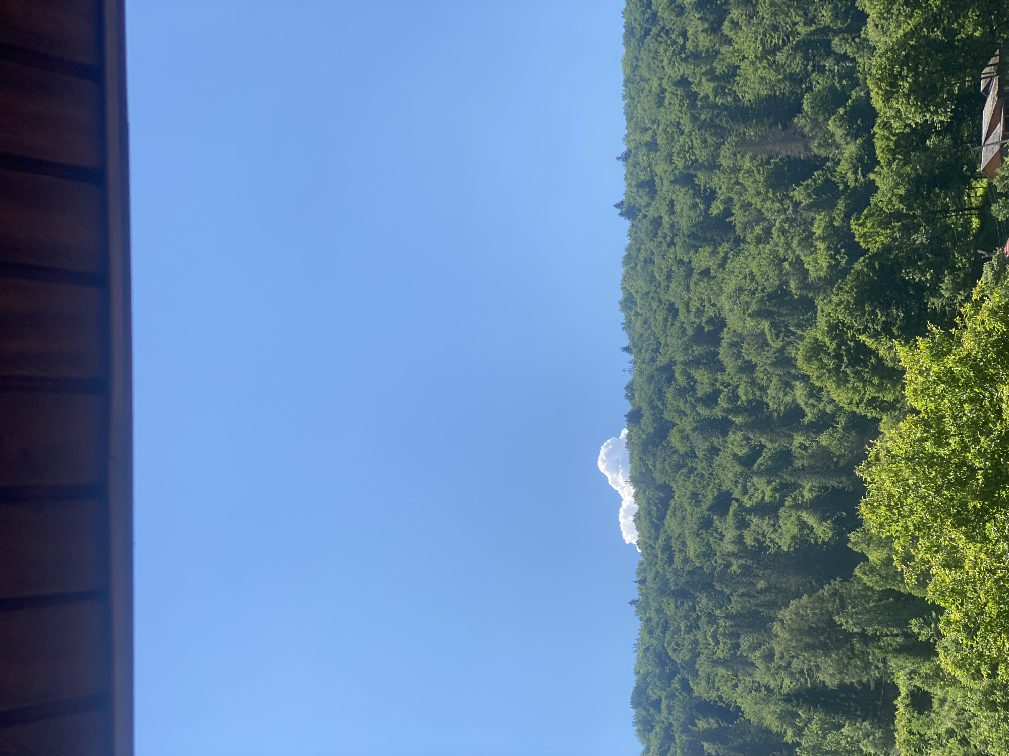 The image depicts a vast, verdant forest covering a mountainside under a clear blue sky. In the upper portion of the image, a brown wooden overhang is visible, suggesting a structure from which the photo was taken. The dense forest is composed of various shades of green, indicating a mix of deciduous and coniferous trees, with some lighter green foliage in the foreground. A single, puffy white cloud is visible above the treeline, towards the right side of the frame. In the lower right corner, glimpses of a reddish-brown roof and a section of a wooden building can be observed, hinting at human habitation within or near the forest. The overall scene is one of natural abundance and tranquility, characteristic of mountainous regions like Yaremche, Ukraine, known for its extensive forests and natural beauty.