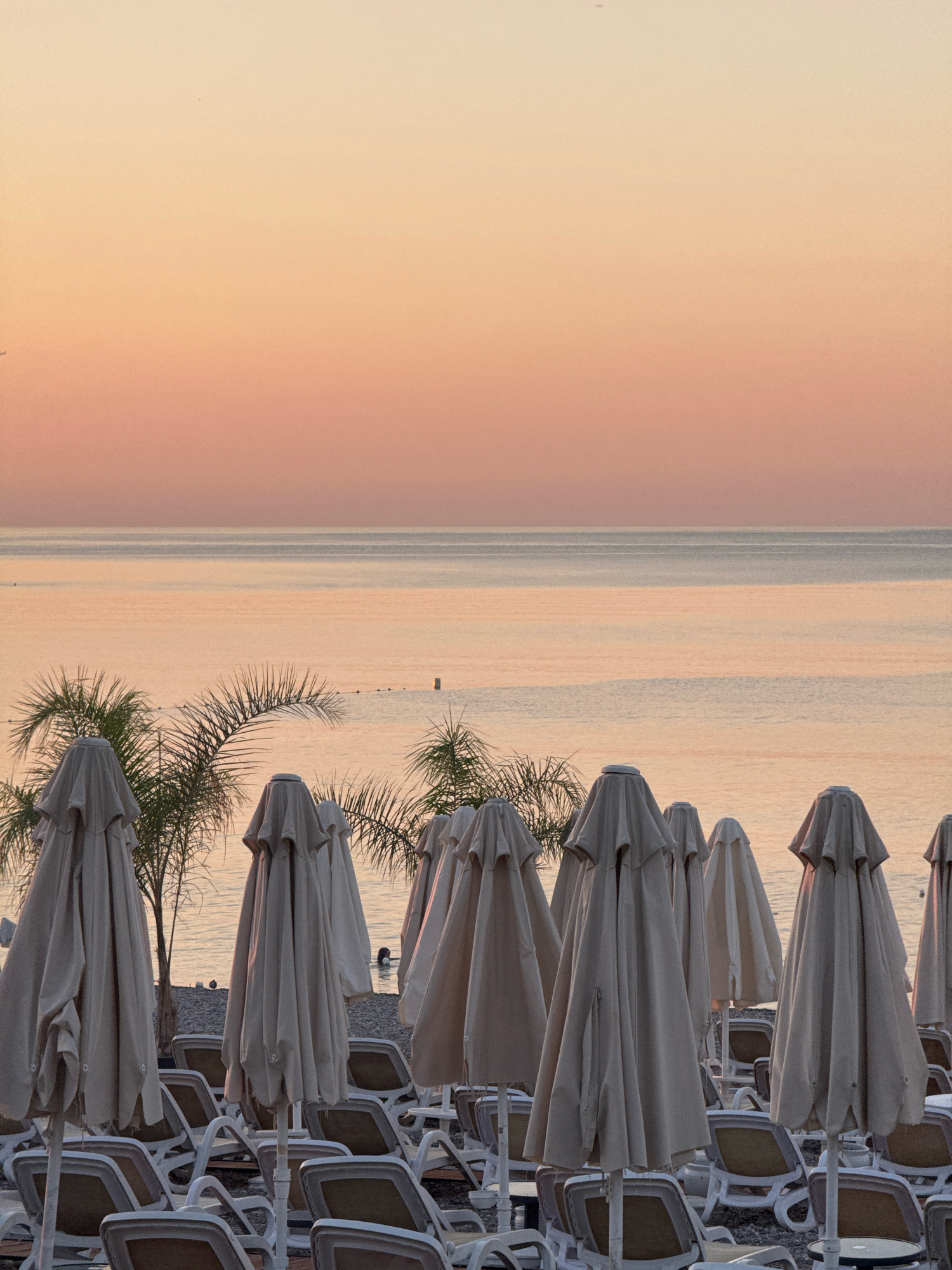 The image depicts a beach in Antalya, Turkey, at sunrise or sunset. The sky is a soft gradient of peach and pale orange, transitioning to a lighter hue towards the horizon. The sea, calm and reflective, mirrors the sky's colors. In the foreground, rows of closed beach umbrellas and empty lounge chairs are arranged on a pebble beach. Palm trees with lush fronds are visible between the umbrellas, adding to the tropical atmosphere. The scene conveys a sense of tranquility and early morning or late evening quietude on the coast.